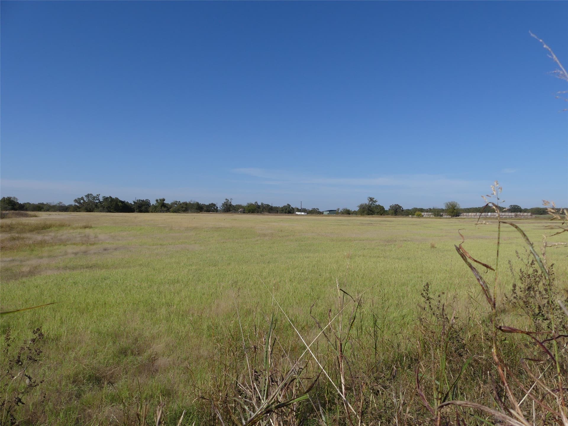 20 acres in Montague County gallery image 3