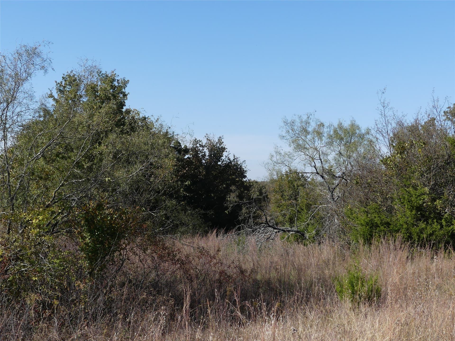 20 acres in Montague County - photo 21