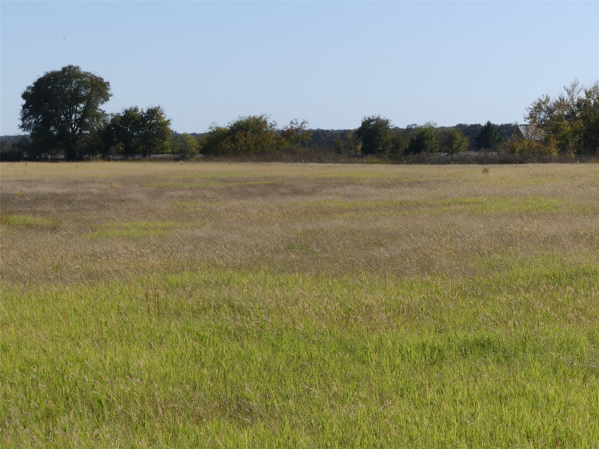 20 acres in Montague County - photo 28