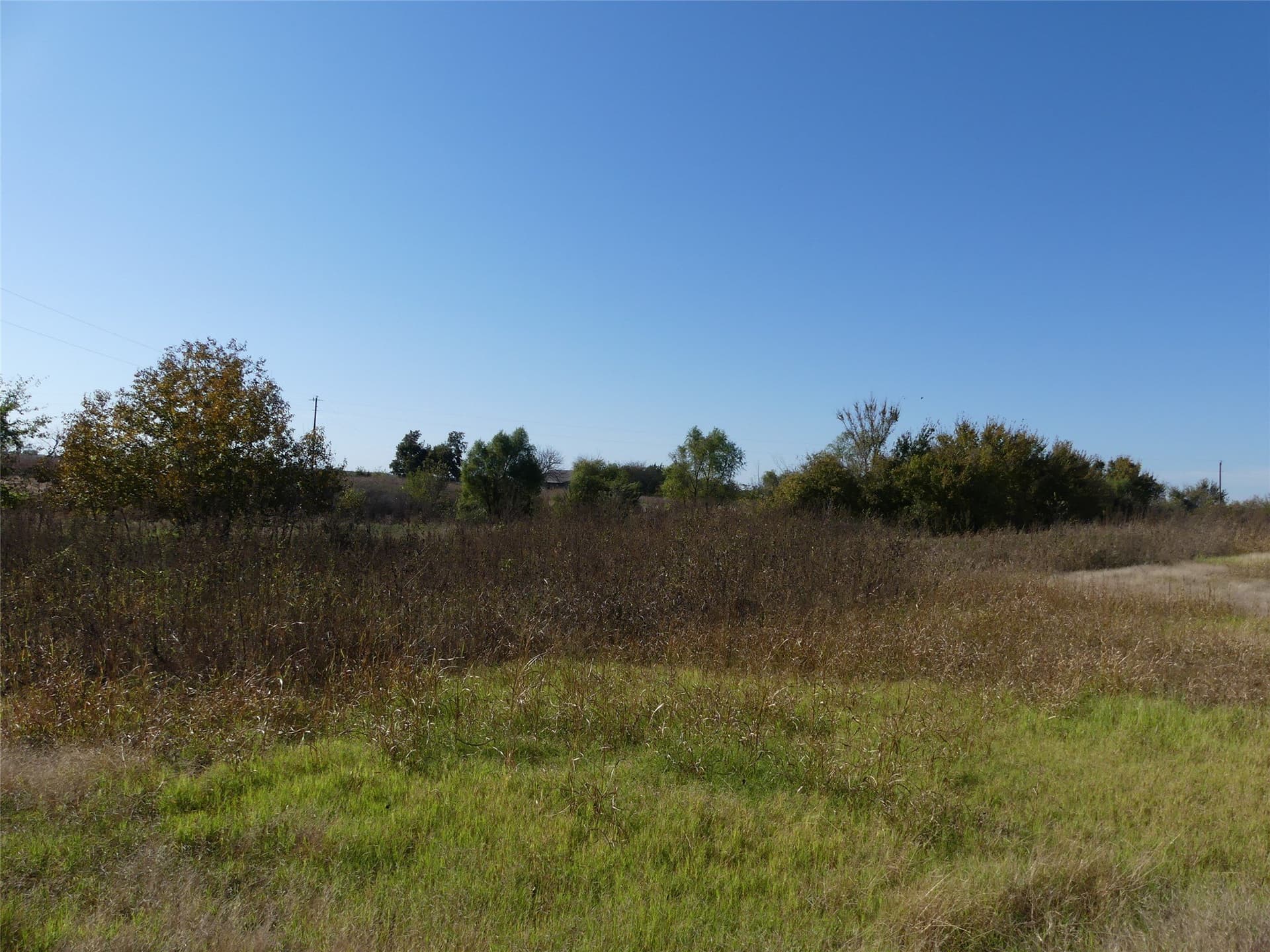 20 acres in Montague County - photo 10
