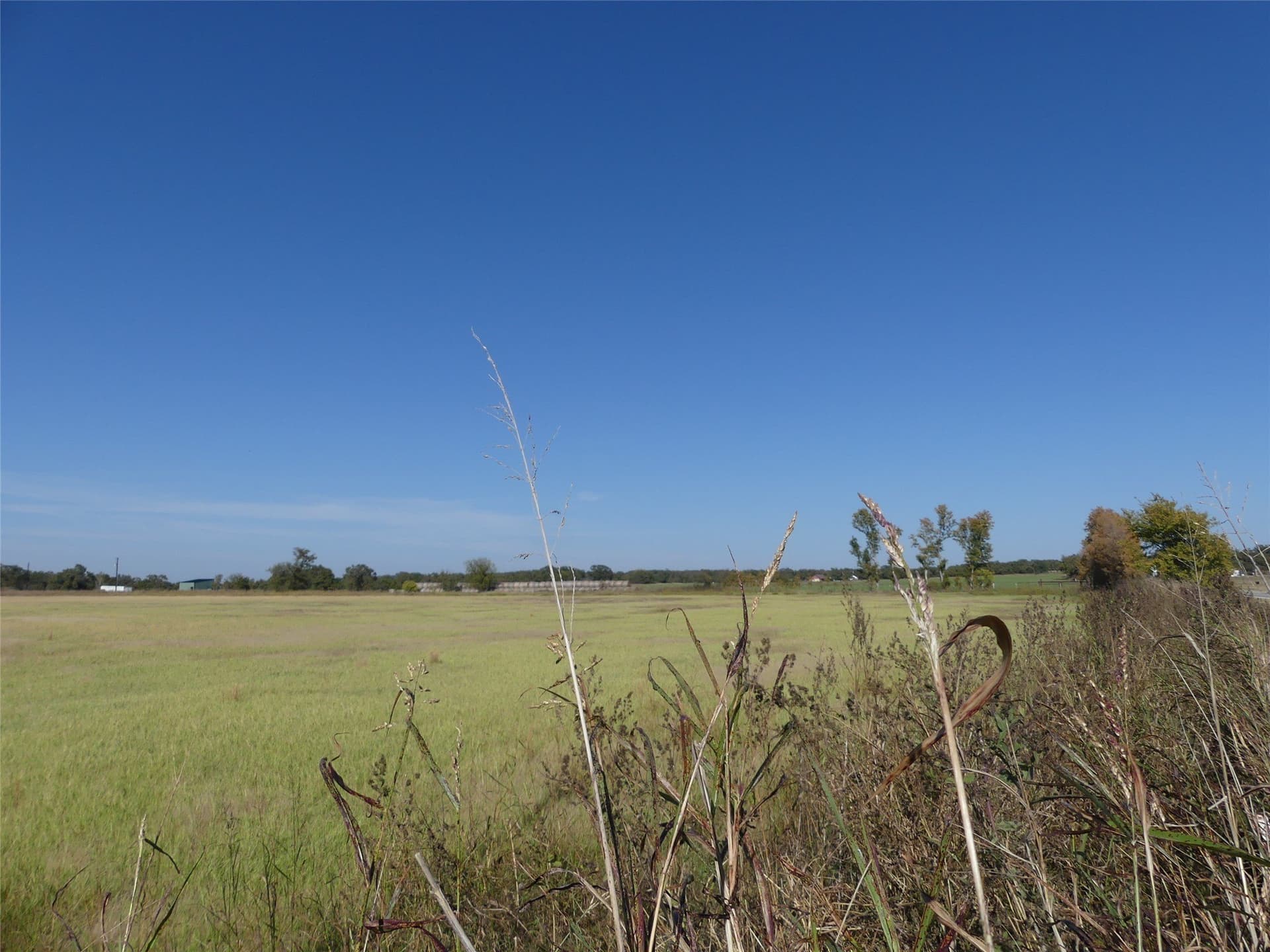 20 acres in Montague County gallery image 2