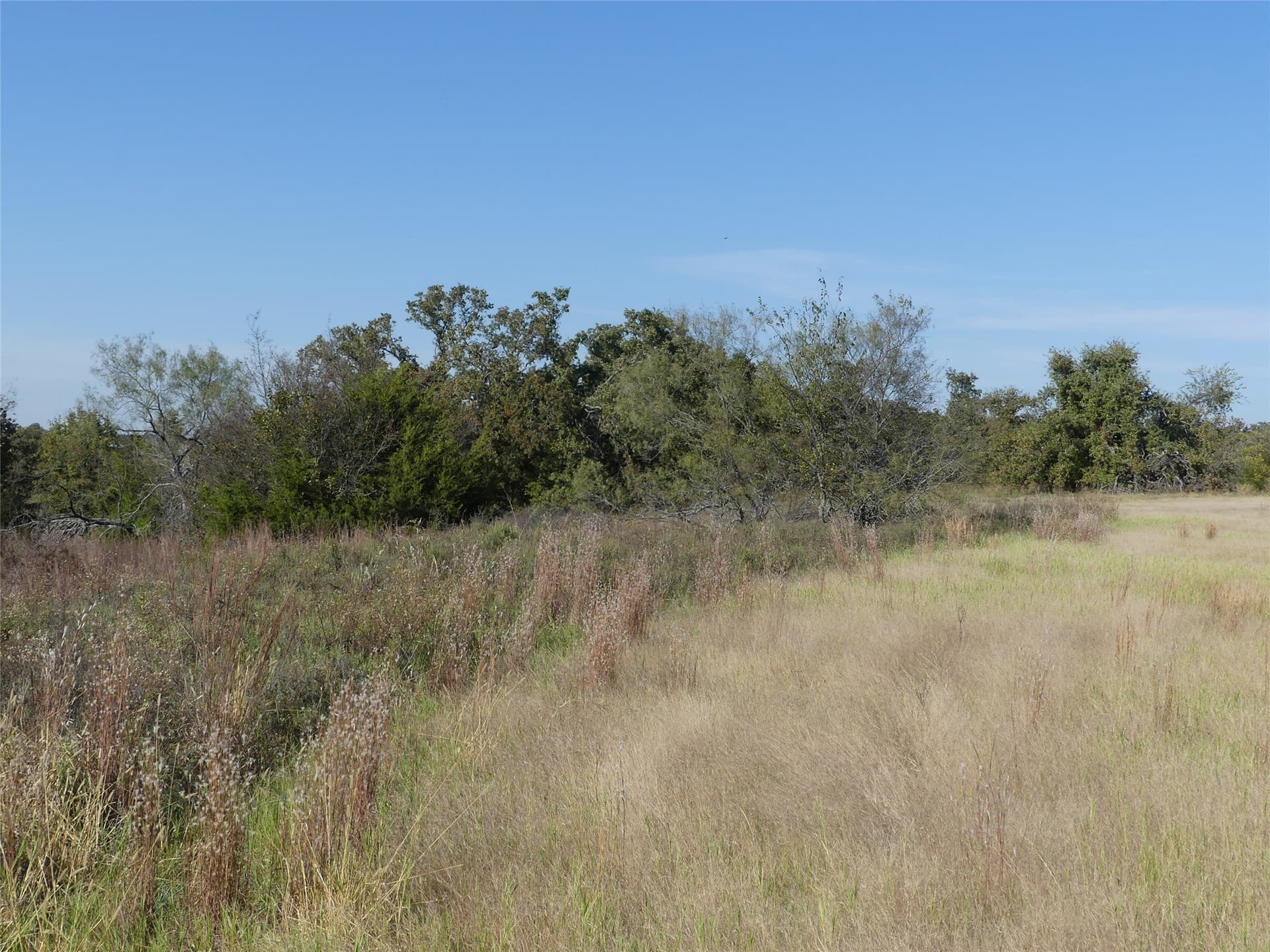 20 acres in Montague County - photo 18