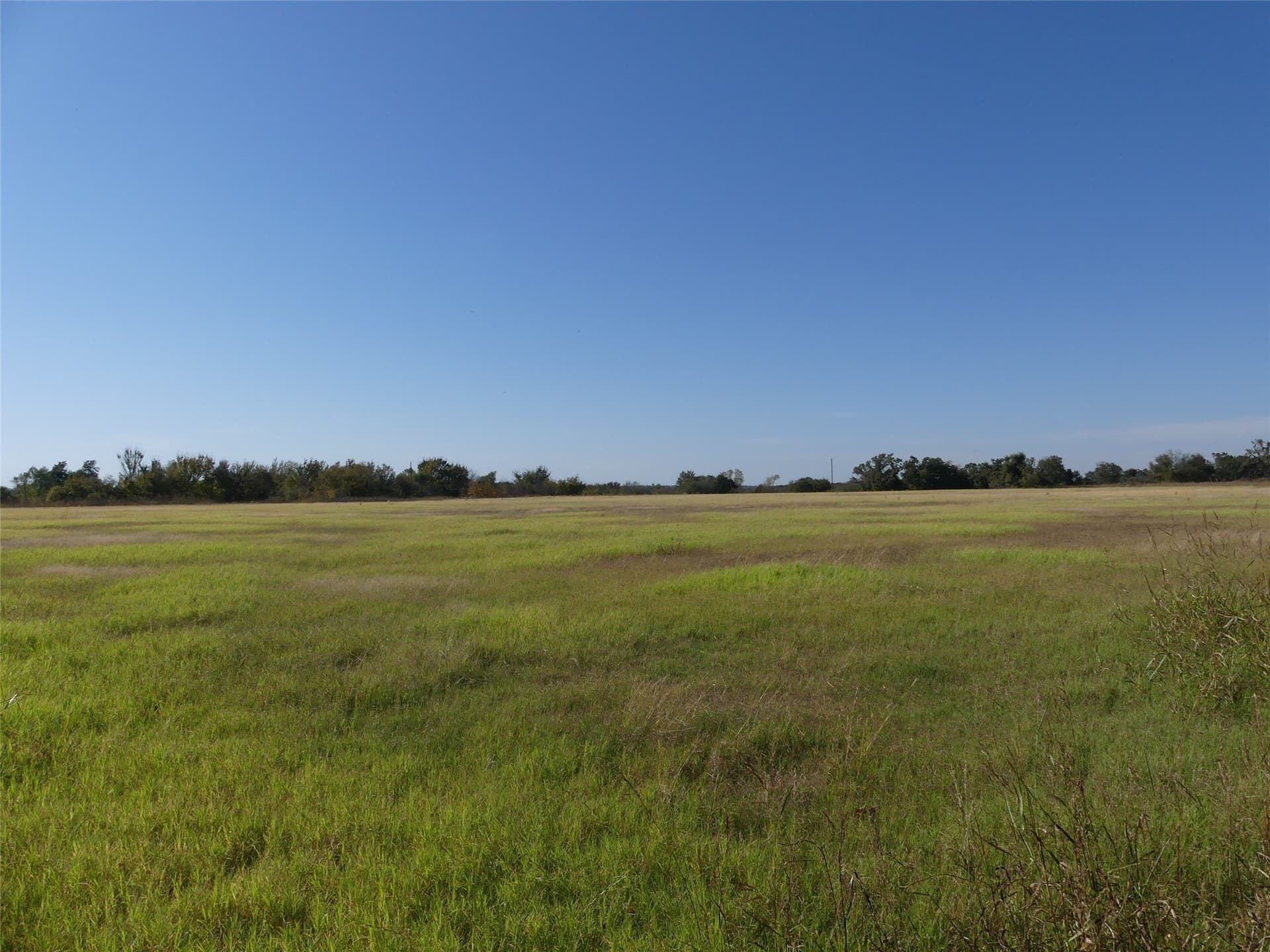 20 acres in Montague County - photo 7