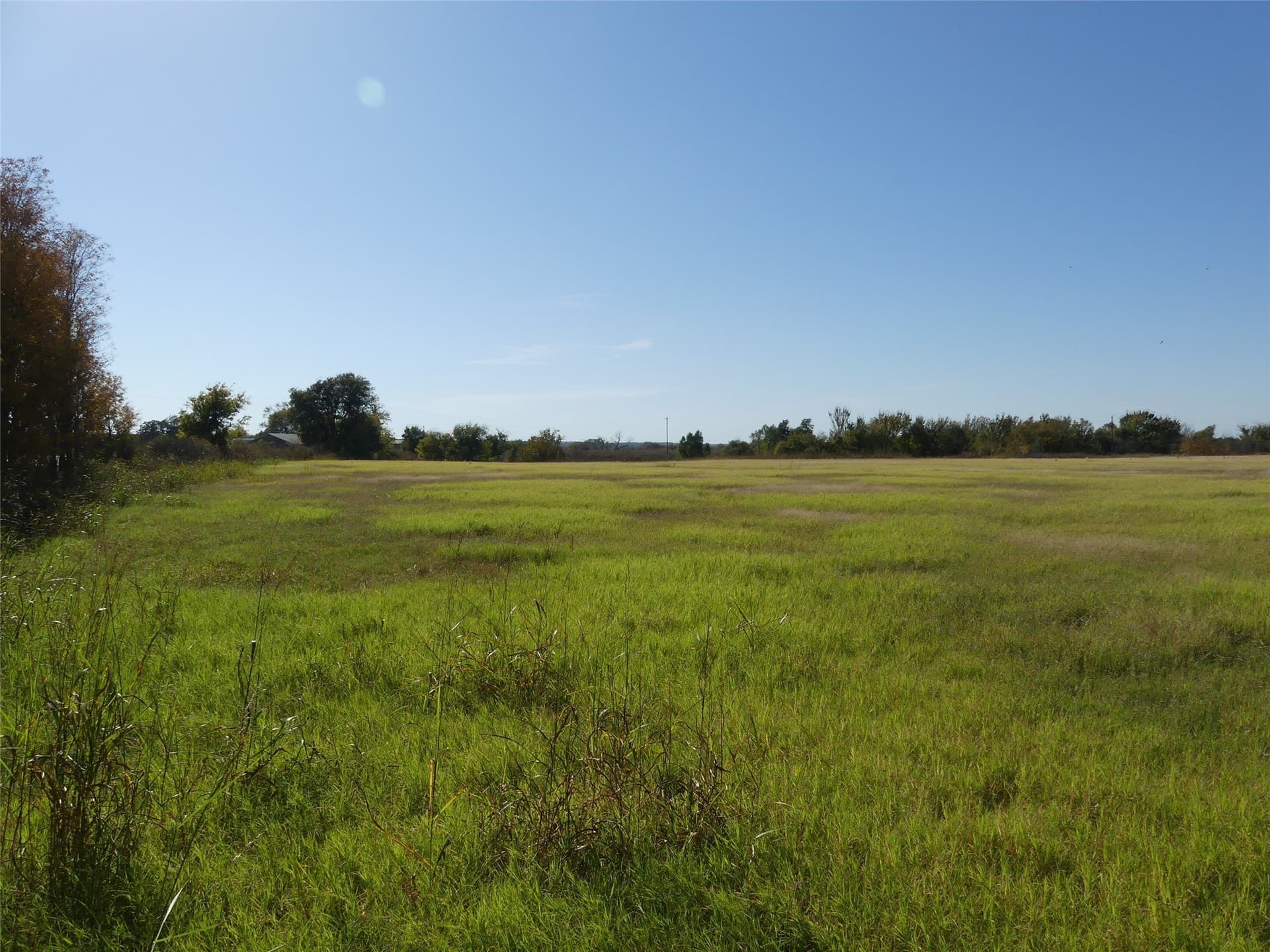 20 acres in Montague County - photo 6
