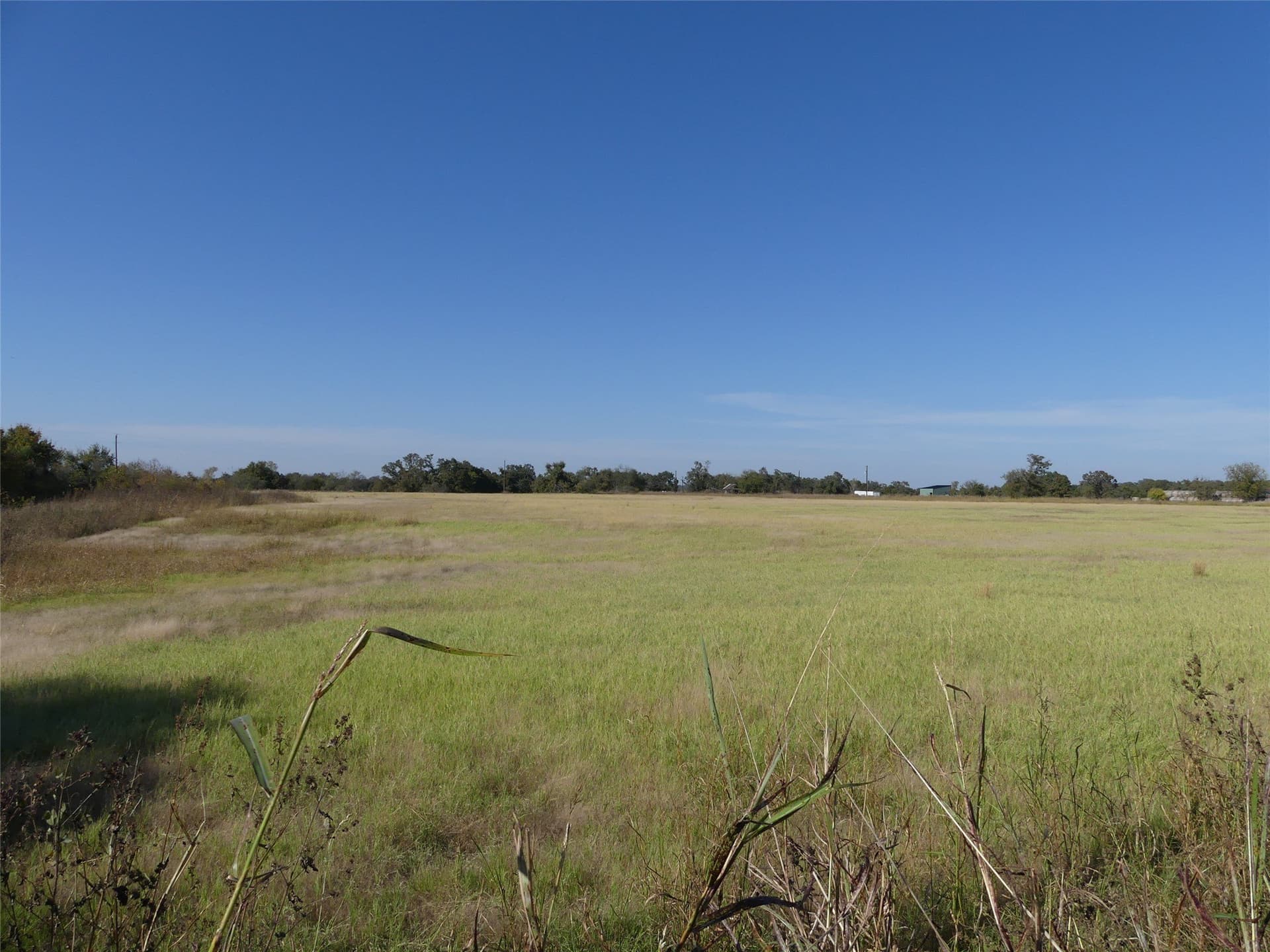 20 acres in Montague County gallery image 4