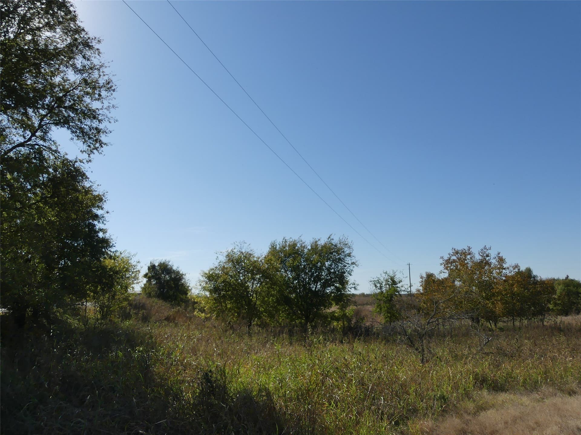 20 acres in Montague County - photo 9