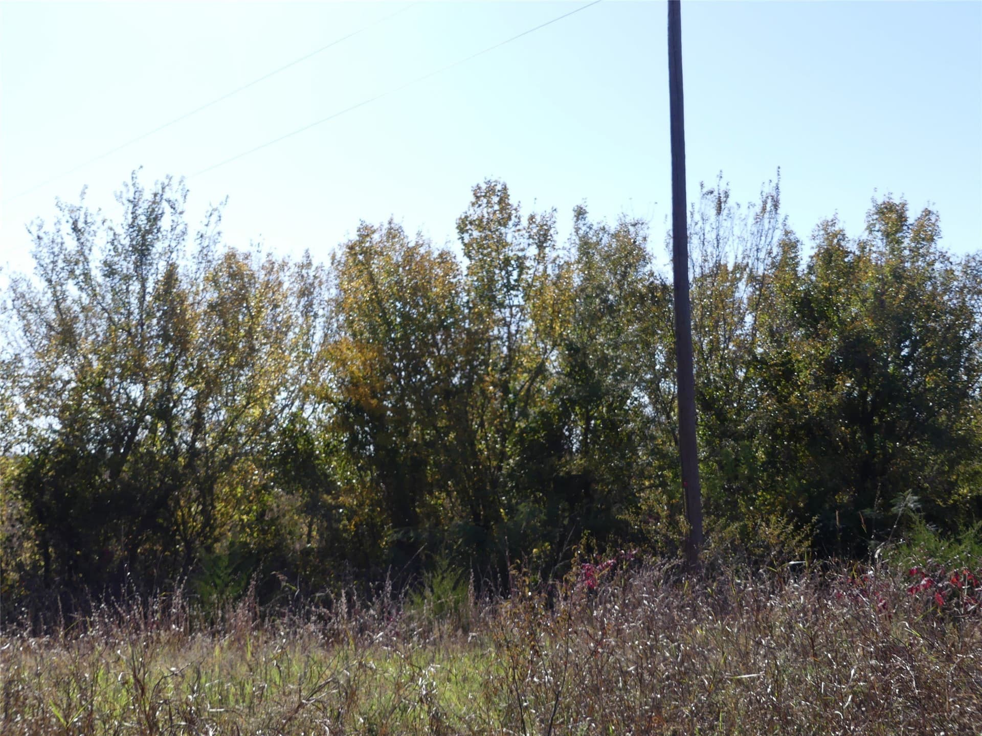 20 acres in Montague County - photo 13