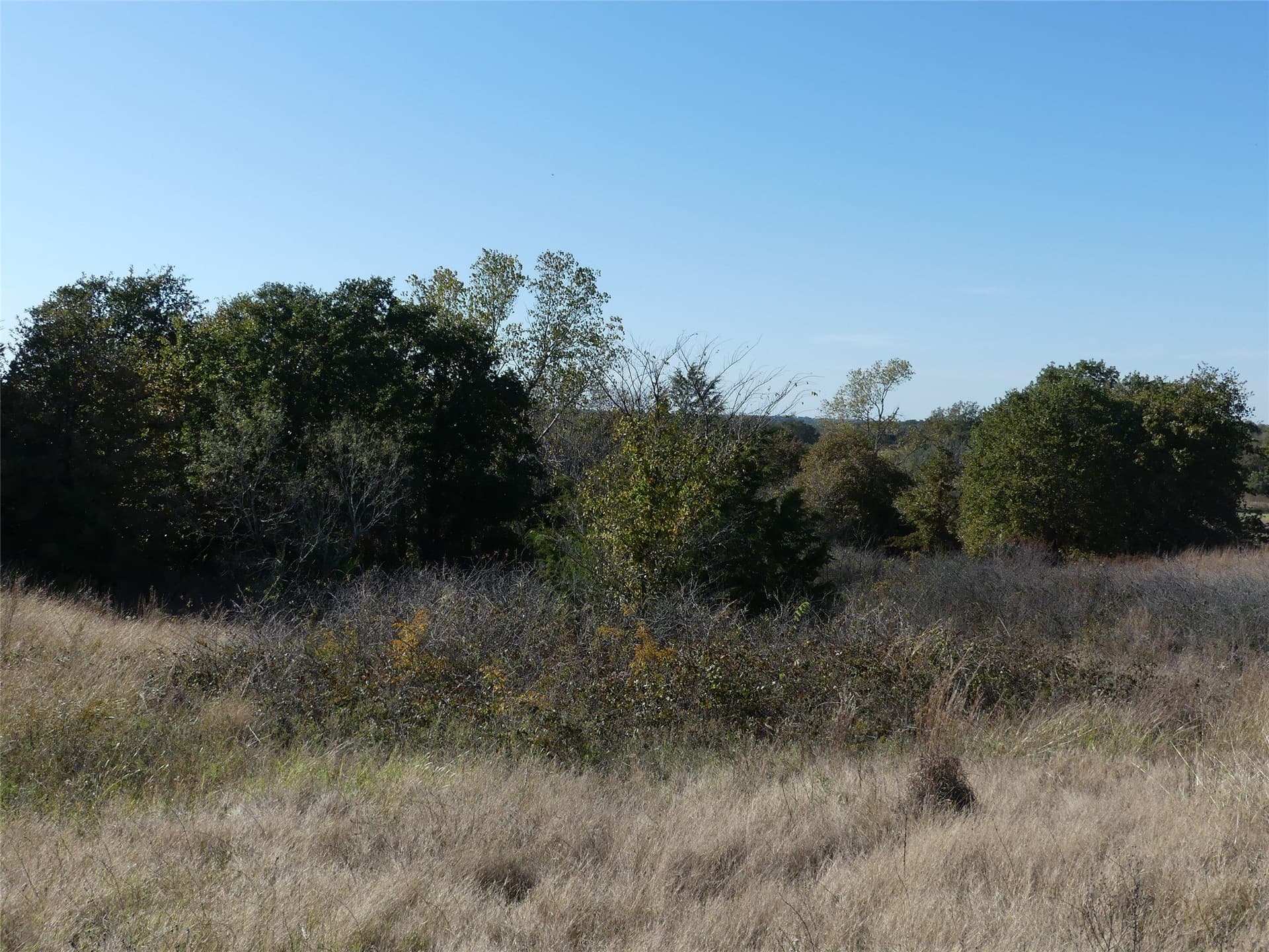20 acres in Montague County - photo 22