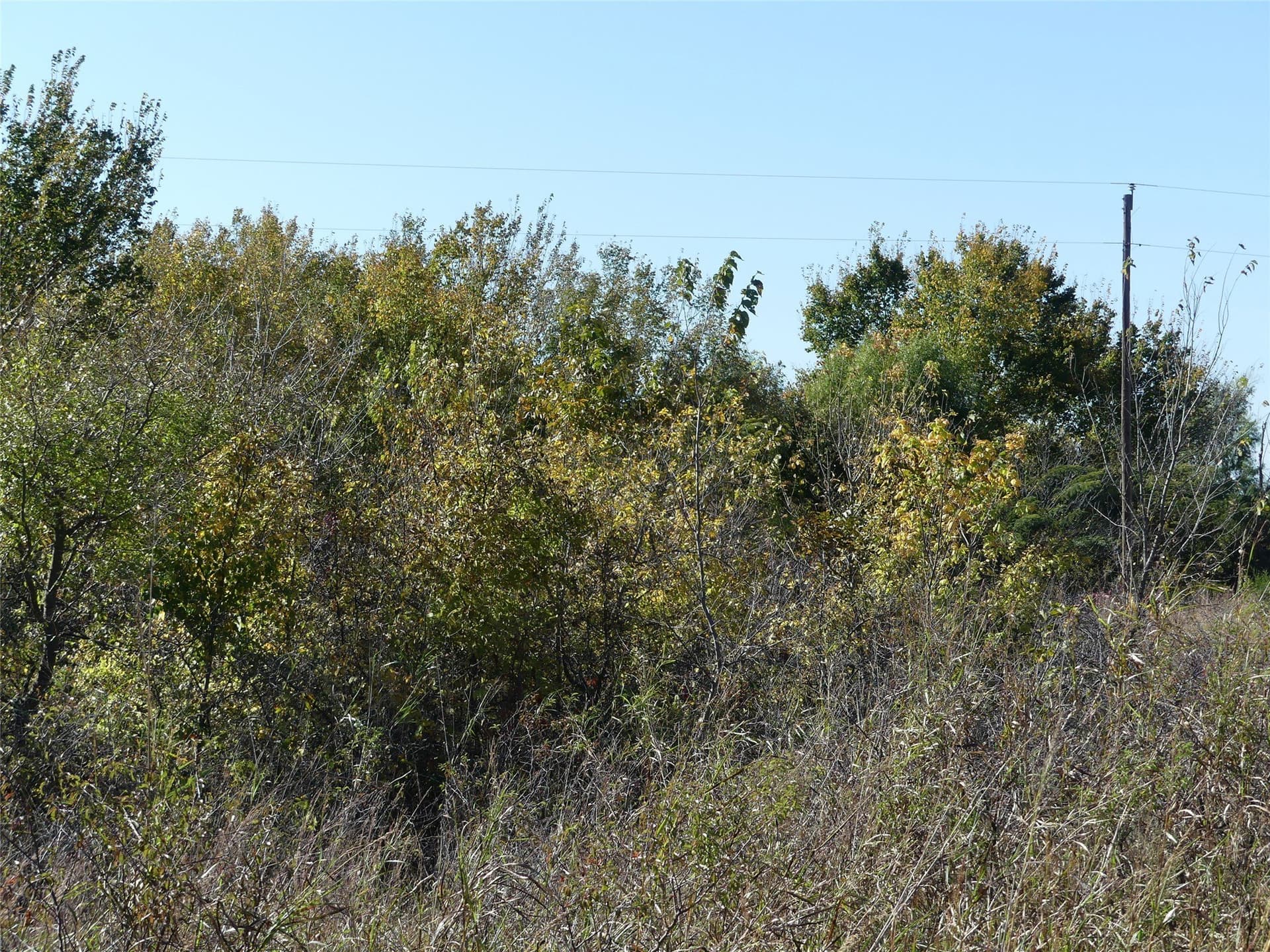 20 acres in Montague County - photo 12