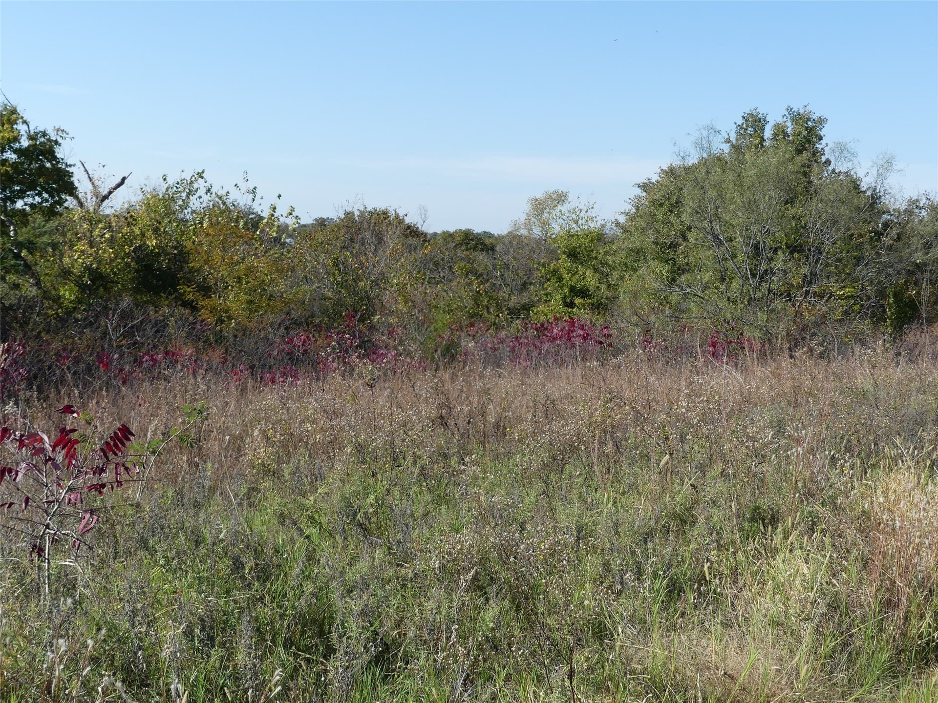 20 acres in Montague County - photo 17