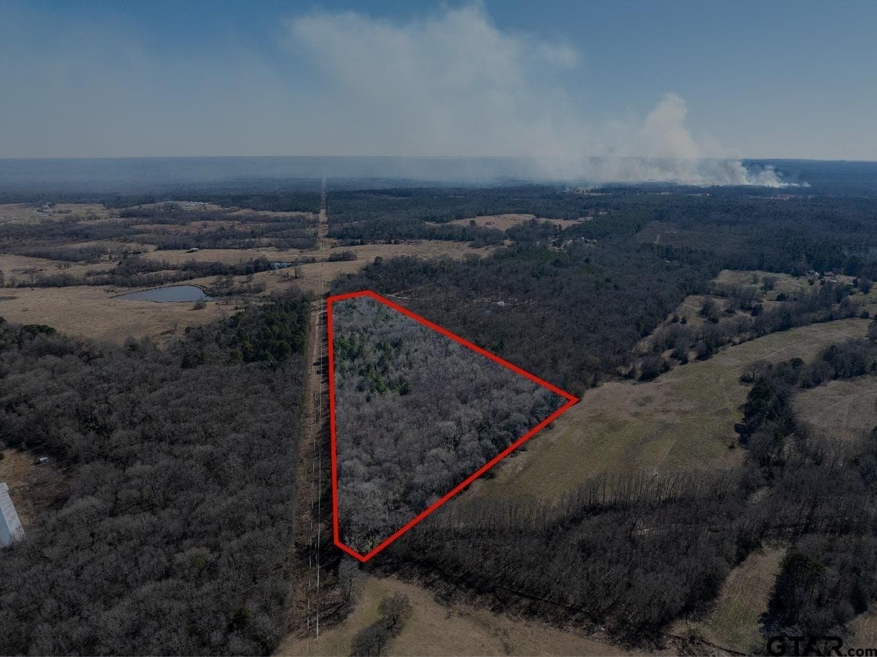 25.11 acres in Camp County gallery image 4