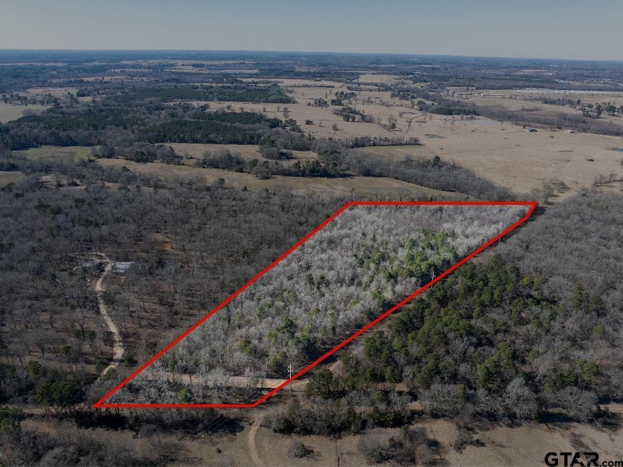 25.11 acres in Camp County gallery image 3