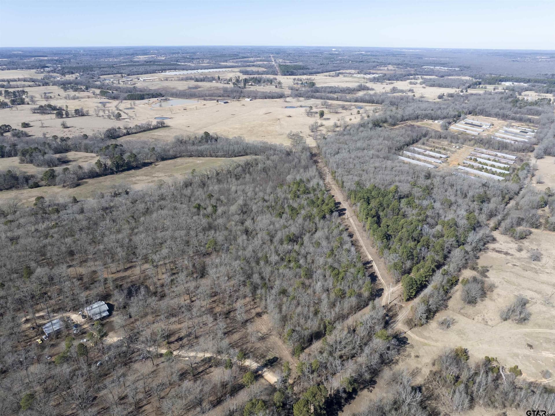 25.11 acres in Camp County gallery image 2