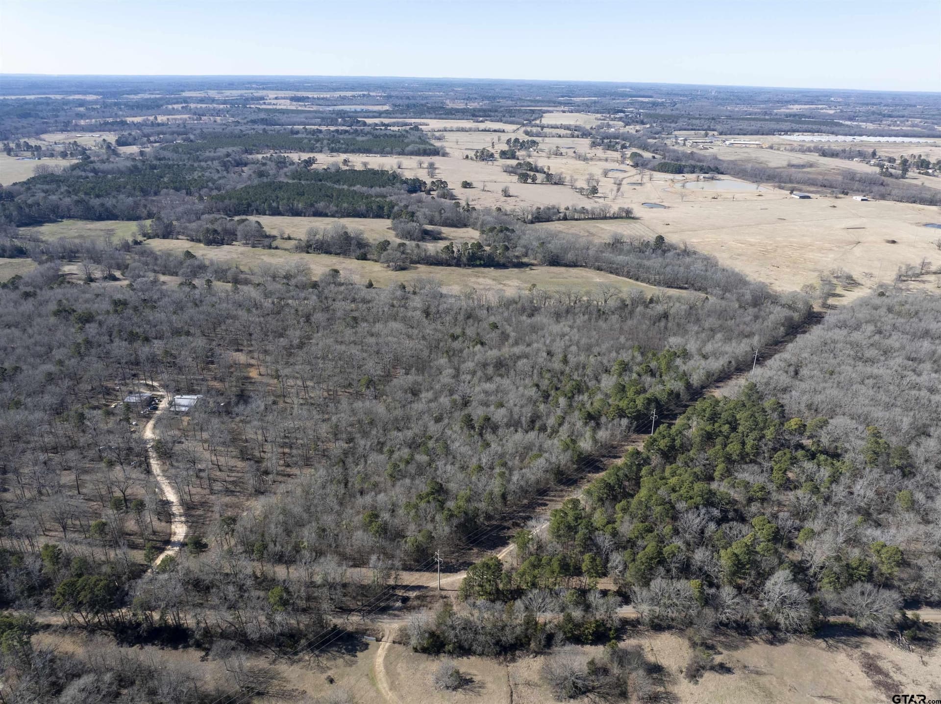 25.11 acres in Camp County featured view