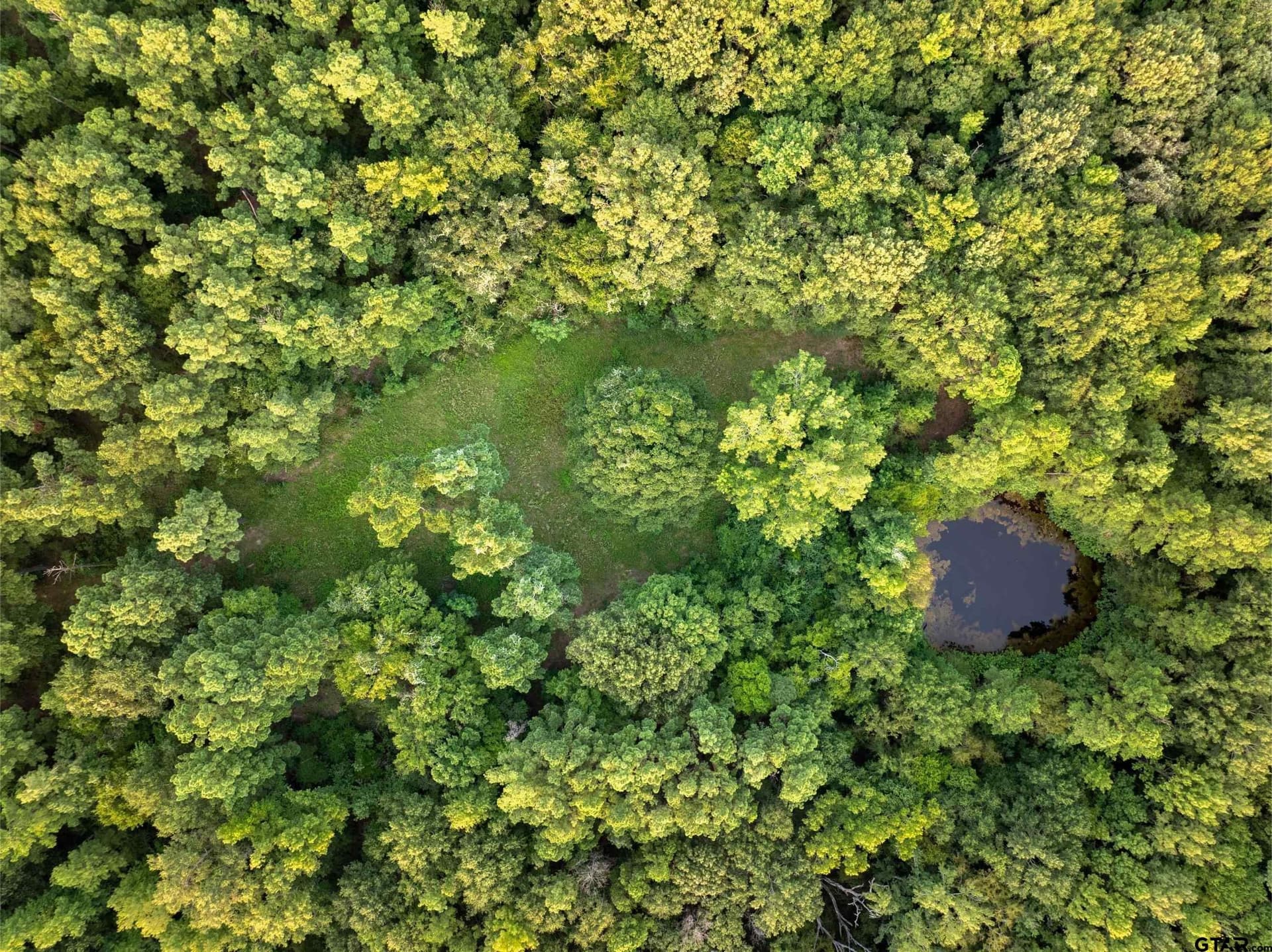 56 acres in Henderson County - photo 8