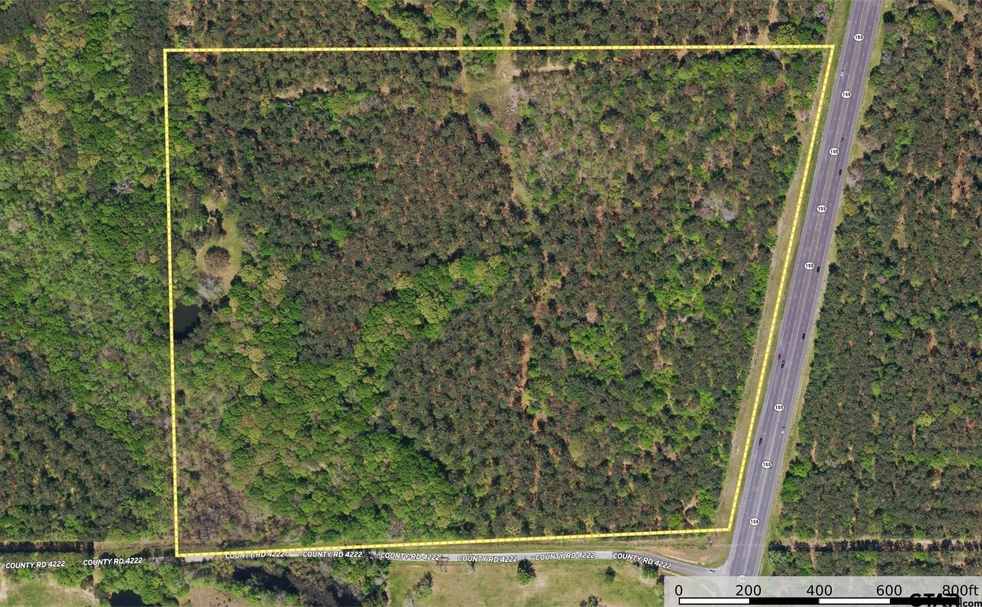 56 acres in Henderson County - photo 26