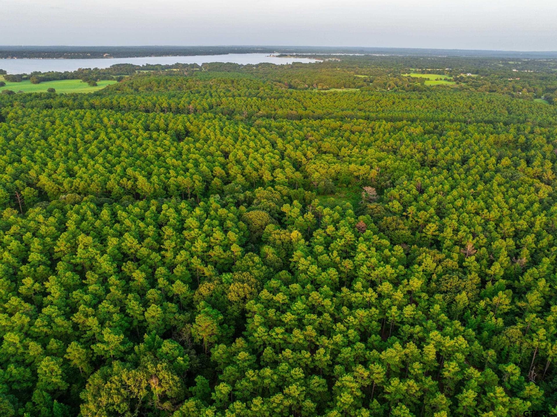 56 acres in Henderson County - photo 7