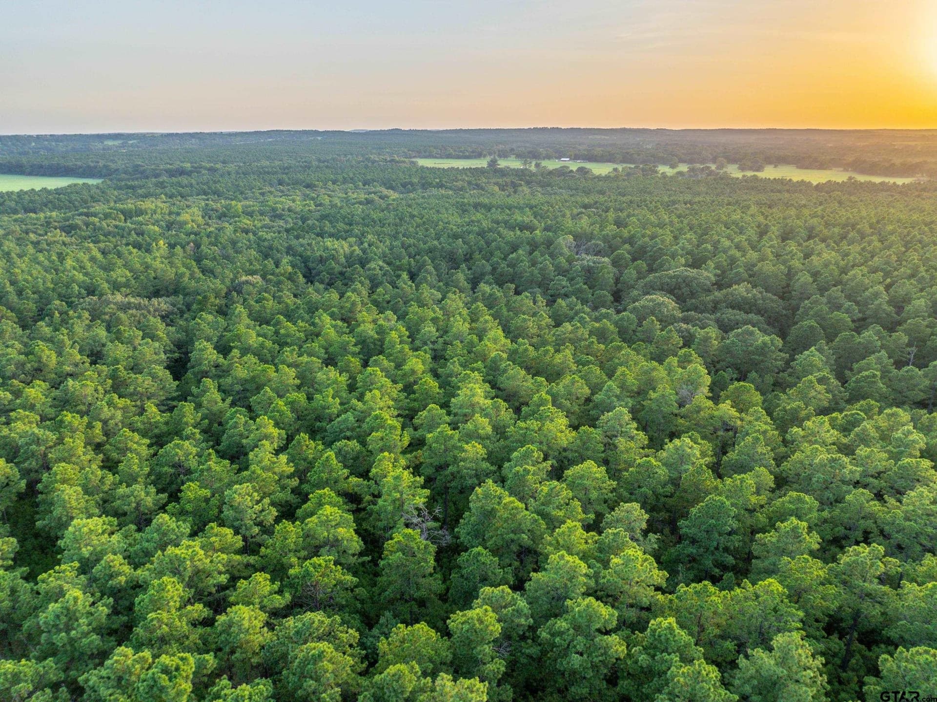 56 acres in Henderson County - photo 6