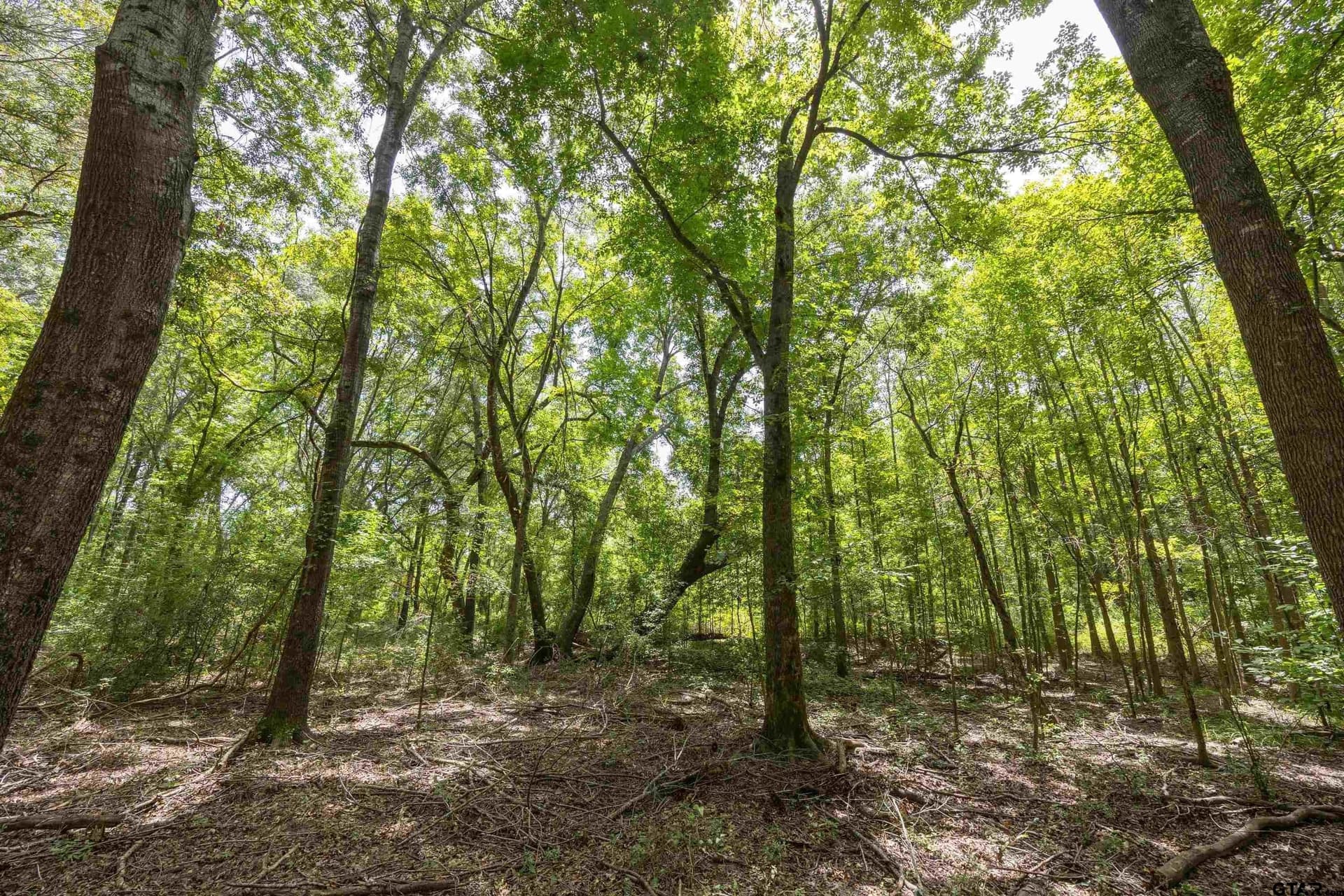 56 acres in Henderson County - photo 4