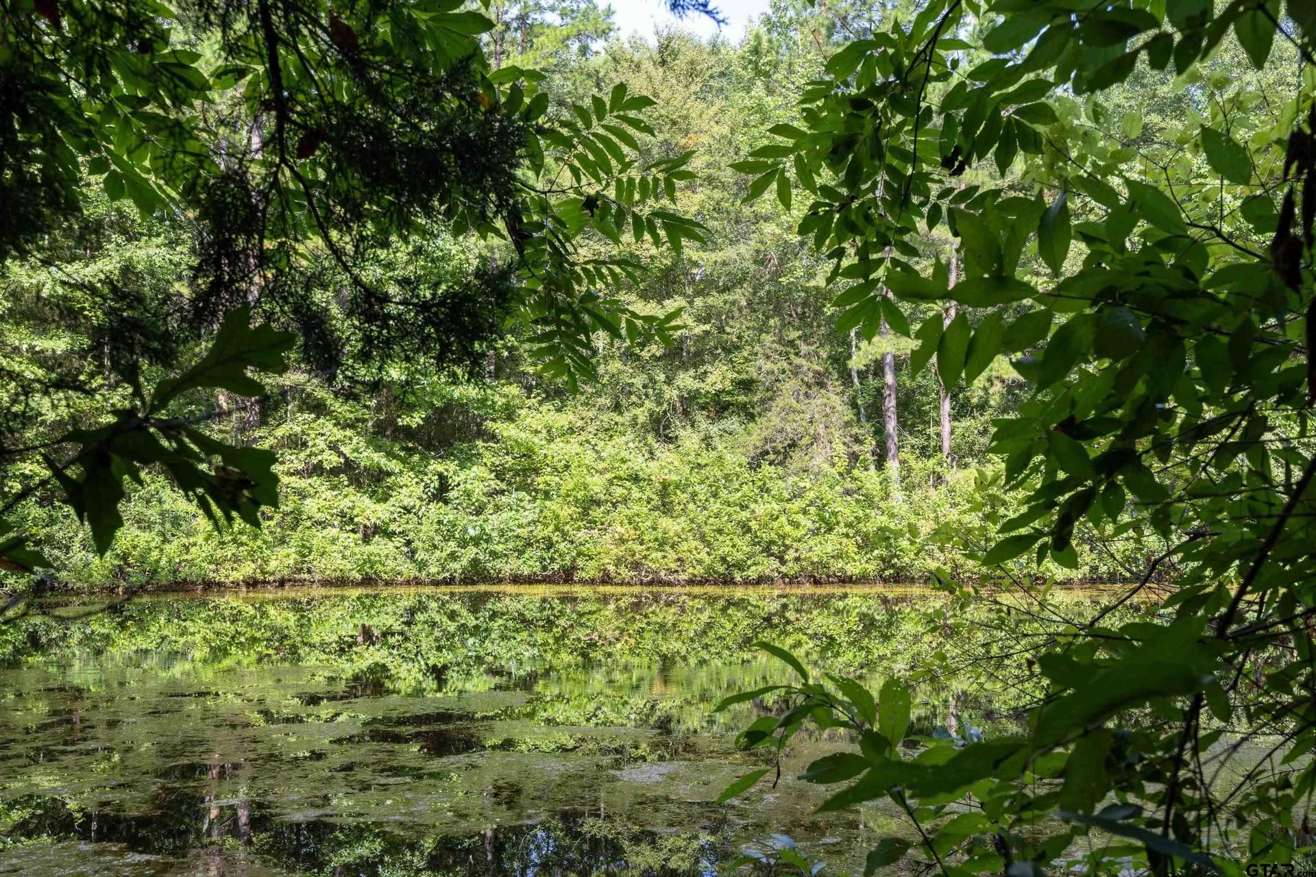 56 acres in Henderson County - photo 23