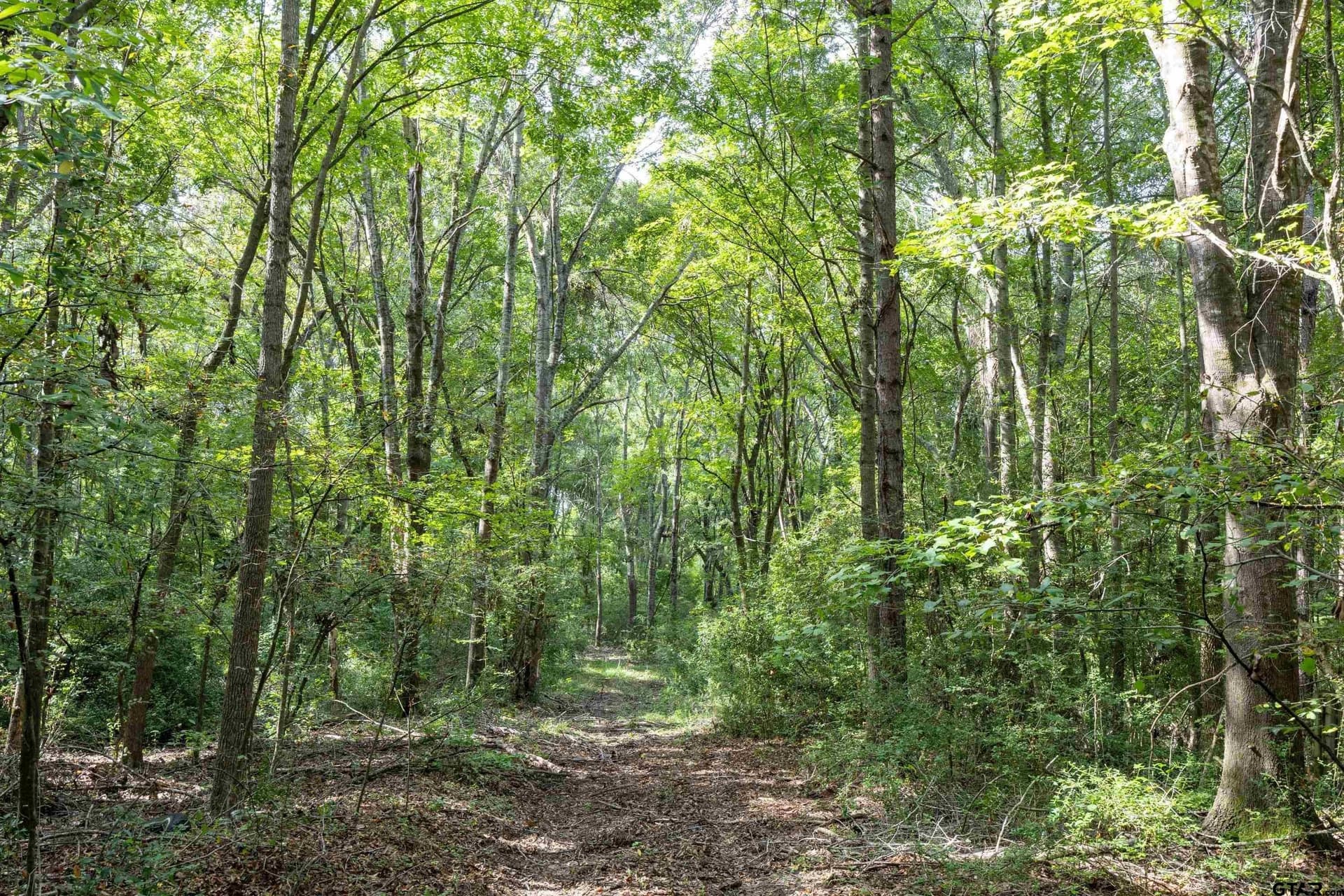 56 acres in Henderson County - photo 22