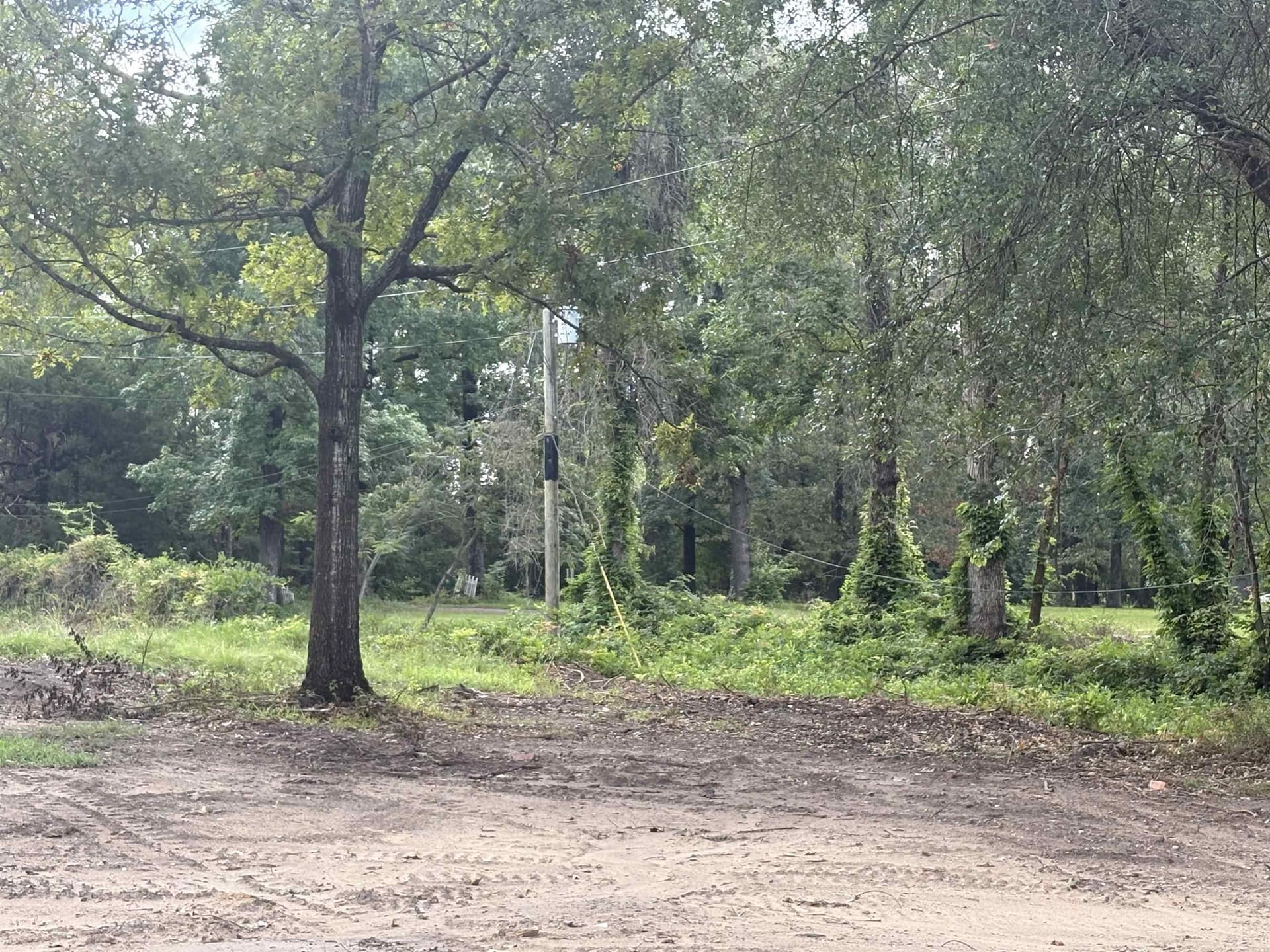 1.24 acres in Harrison County gallery image 2