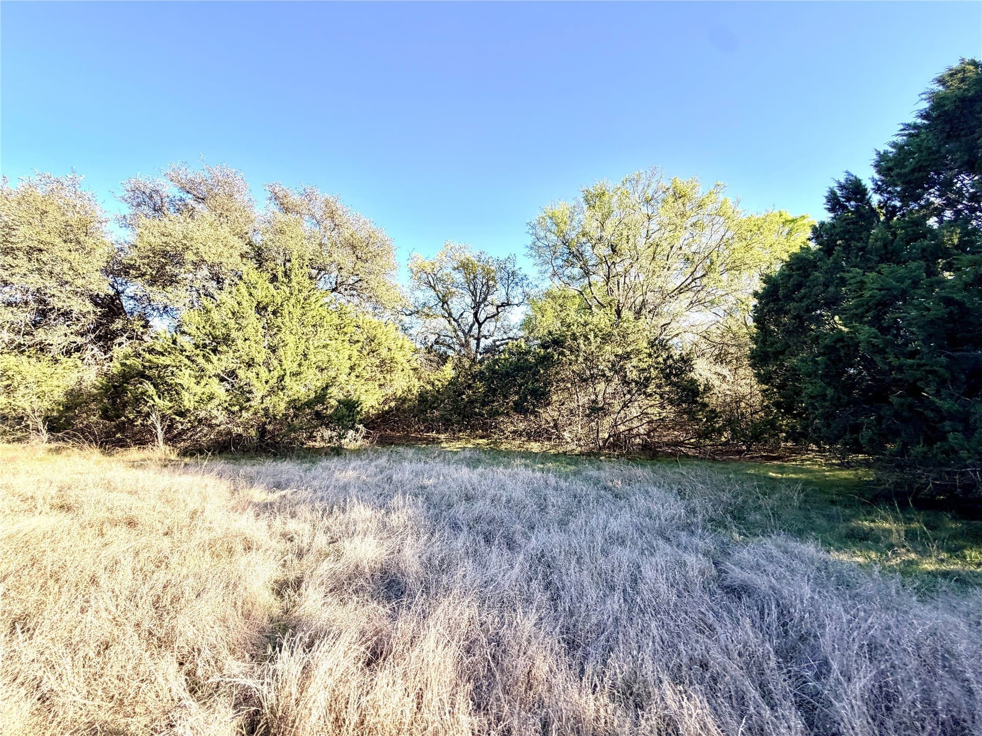 33.25 acres in Mills County - photo 10