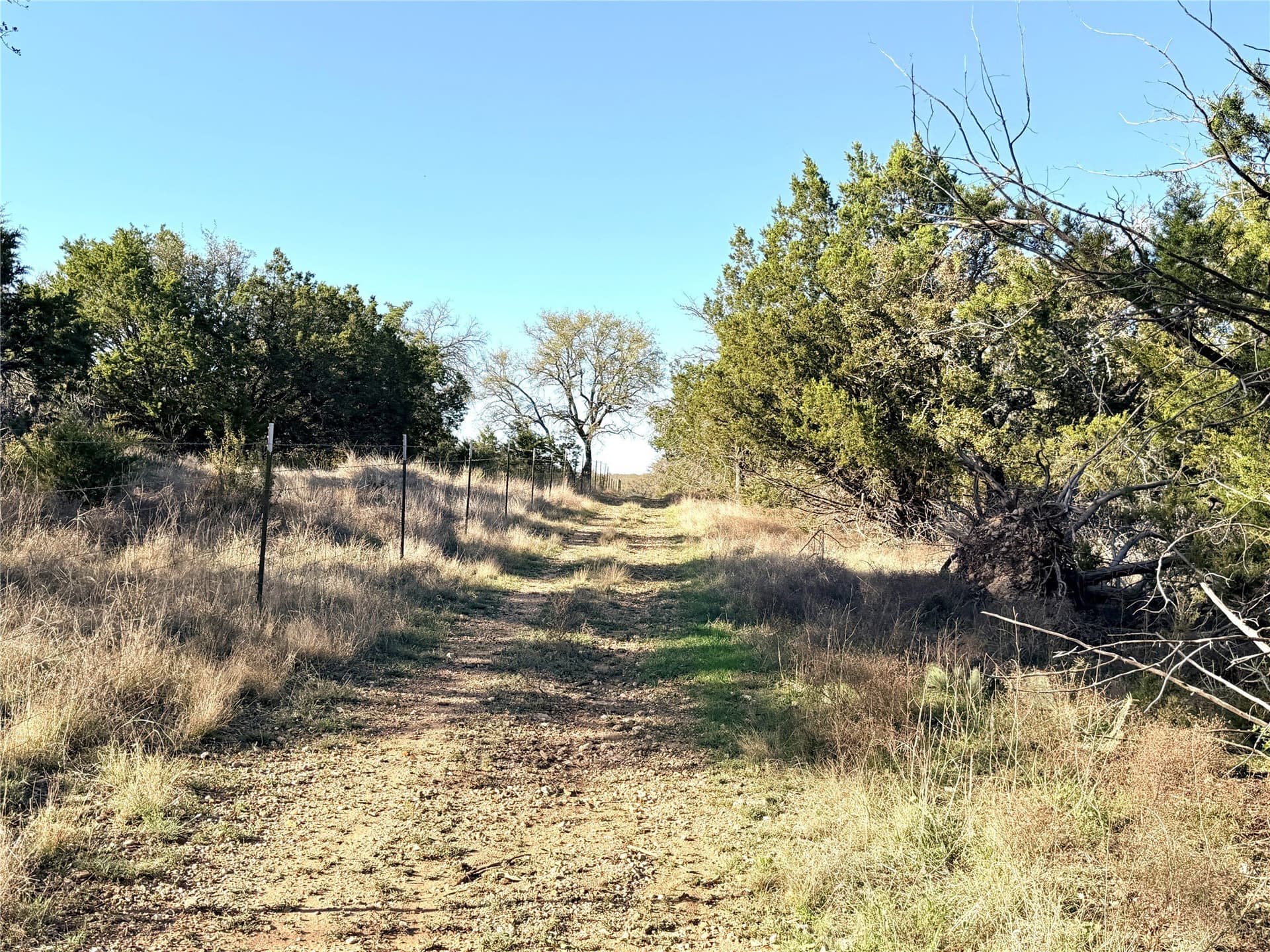 33.25 acres in Mills County - photo 4