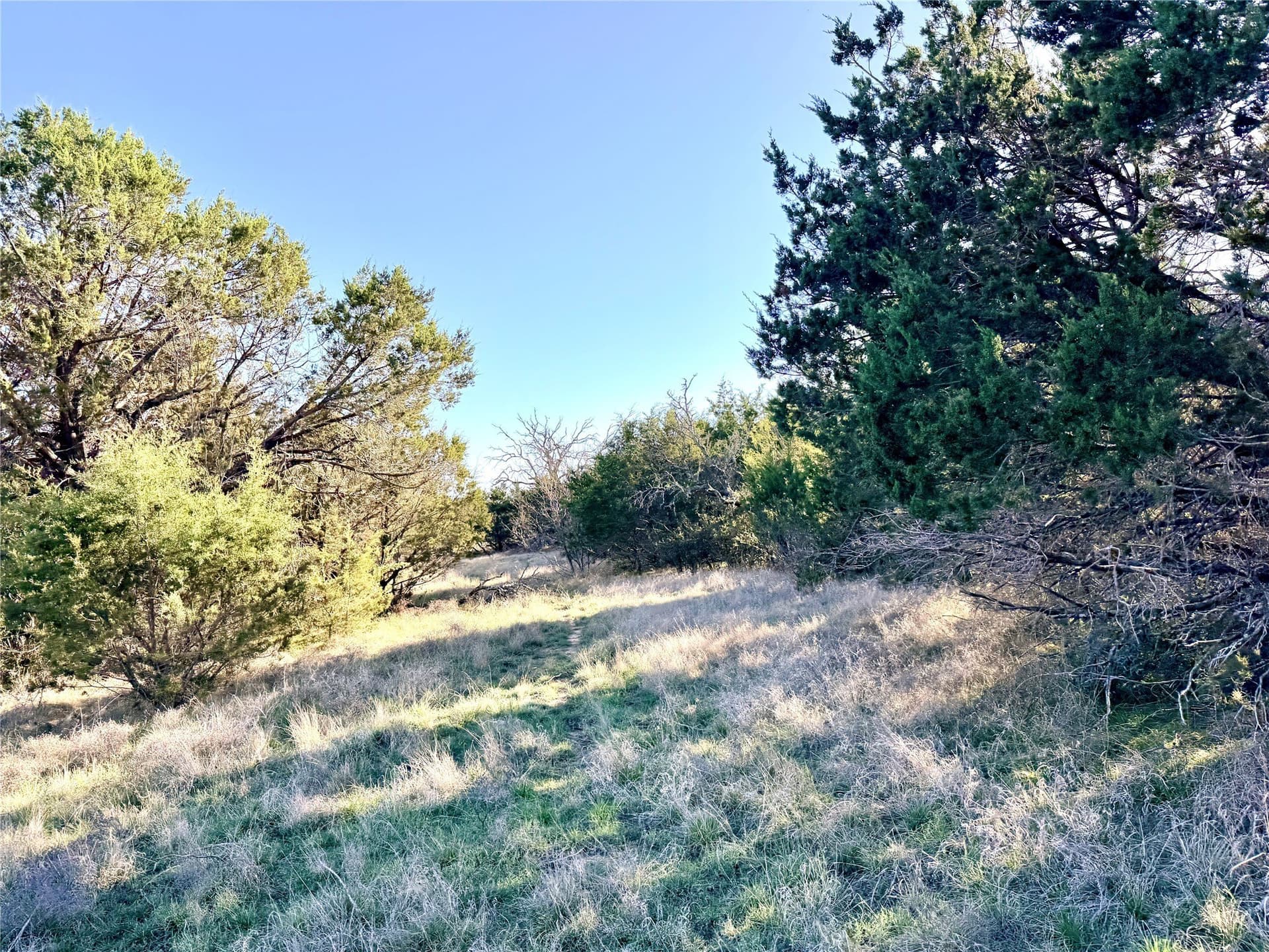 33.25 acres in Mills County - photo 24