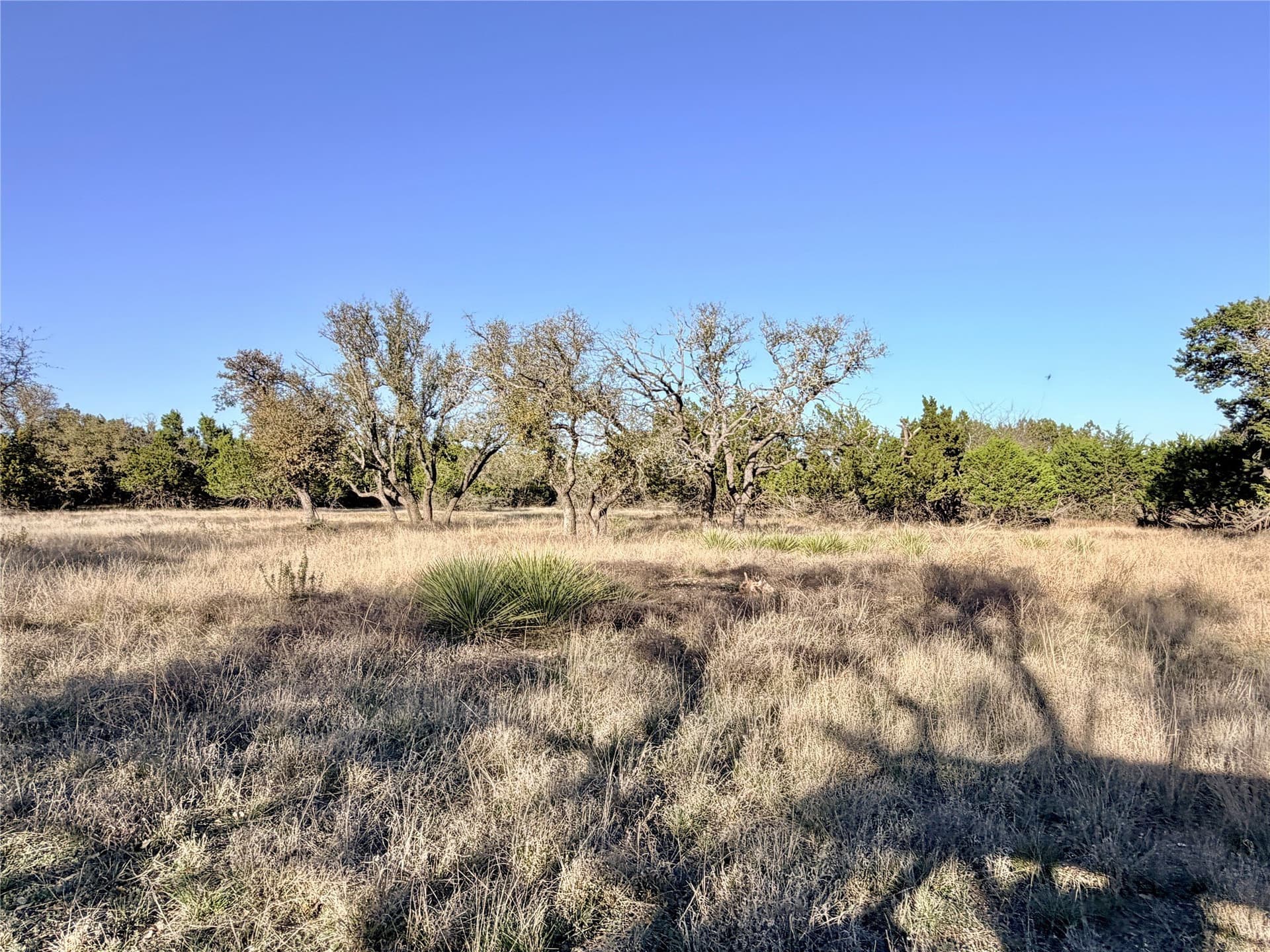 33.25 acres in Mills County - photo 29