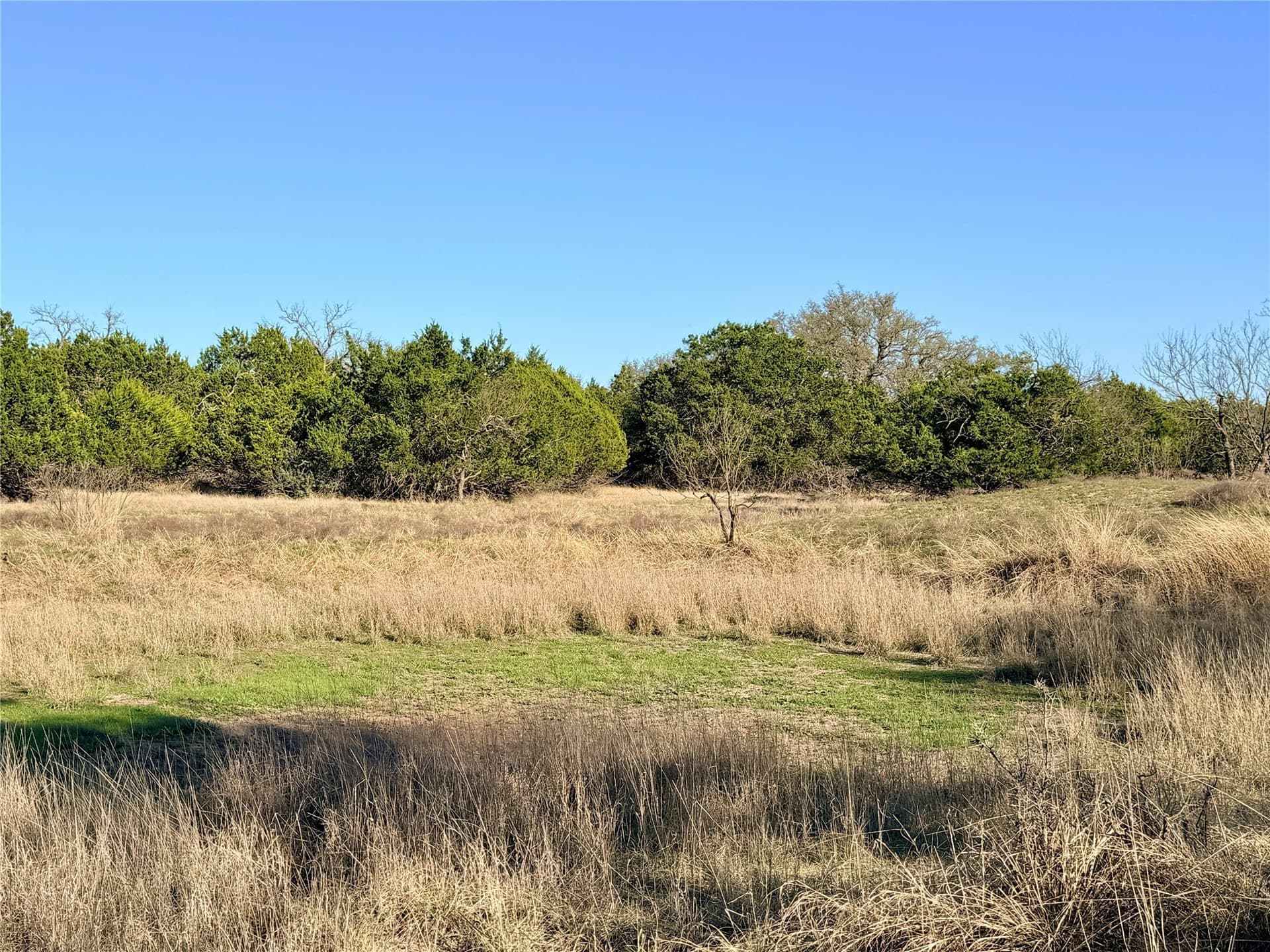 33.25 acres in Mills County - photo 7