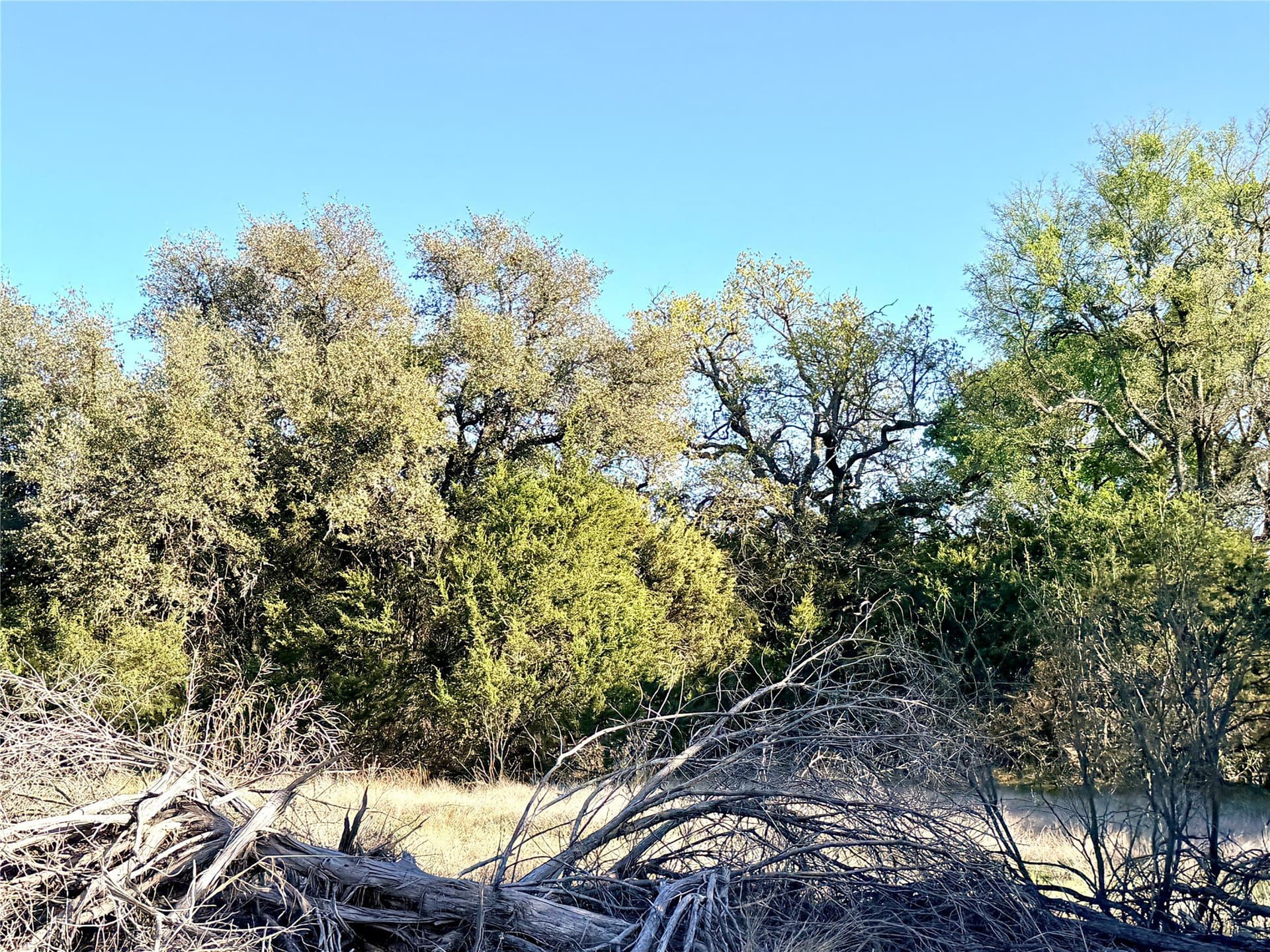 33.25 acres in Mills County - photo 9