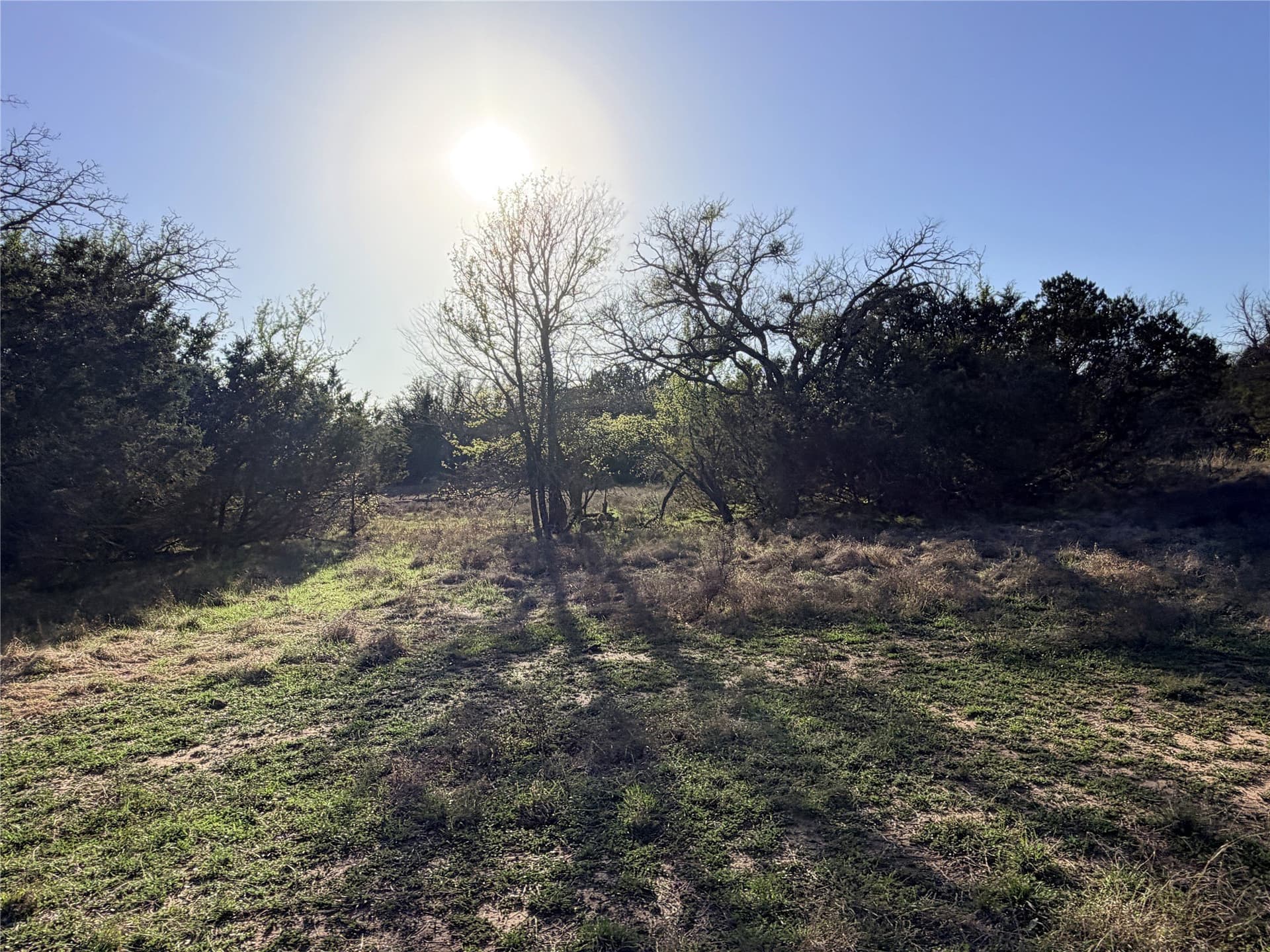 33.25 acres in Mills County - photo 34