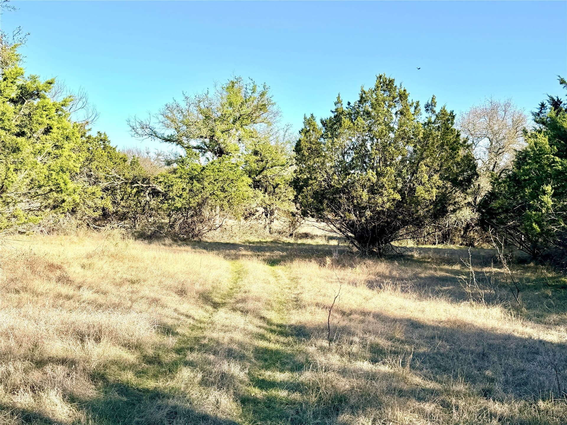 33.25 acres in Mills County - photo 6