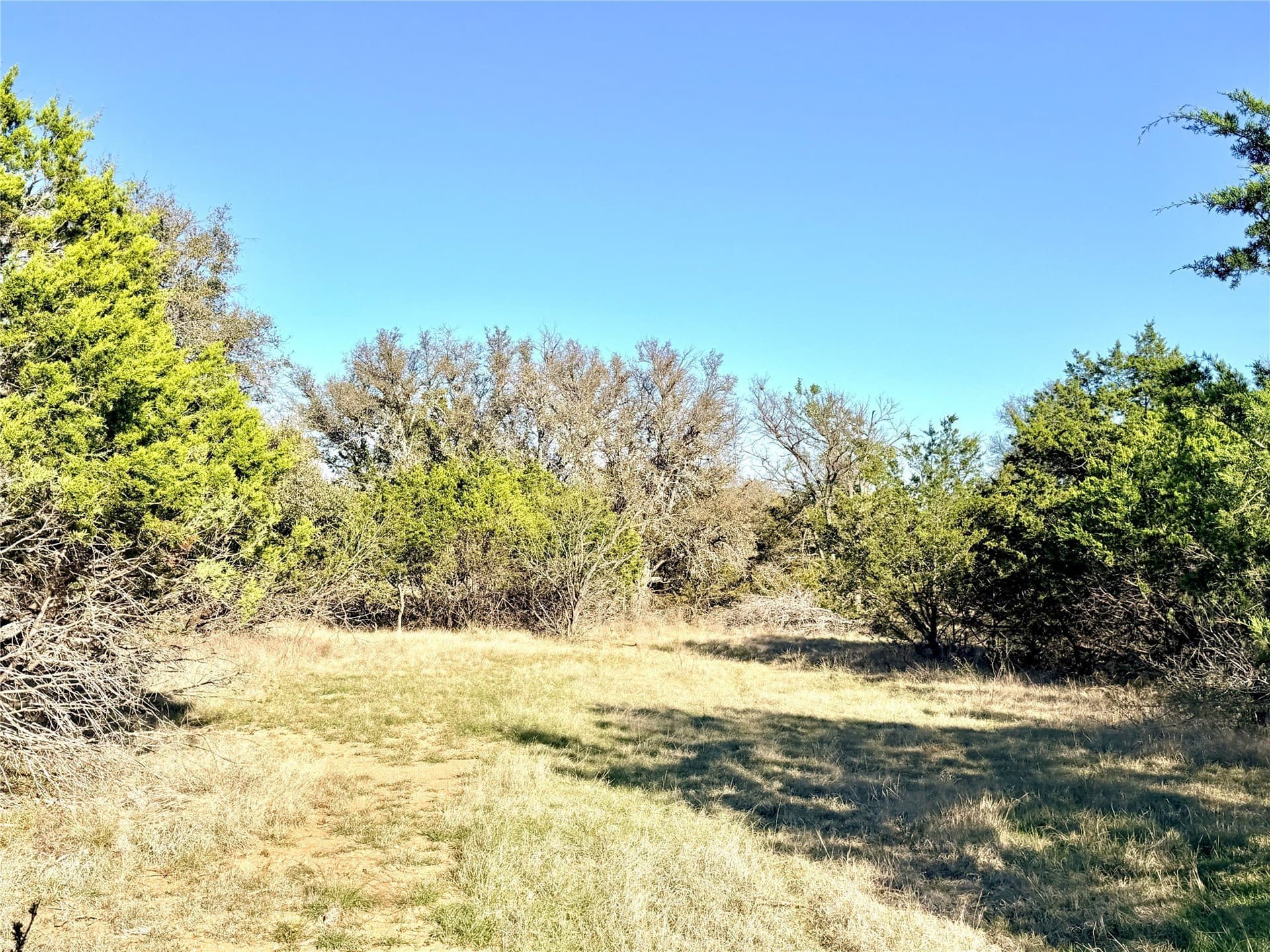 33.25 acres in Mills County - photo 5