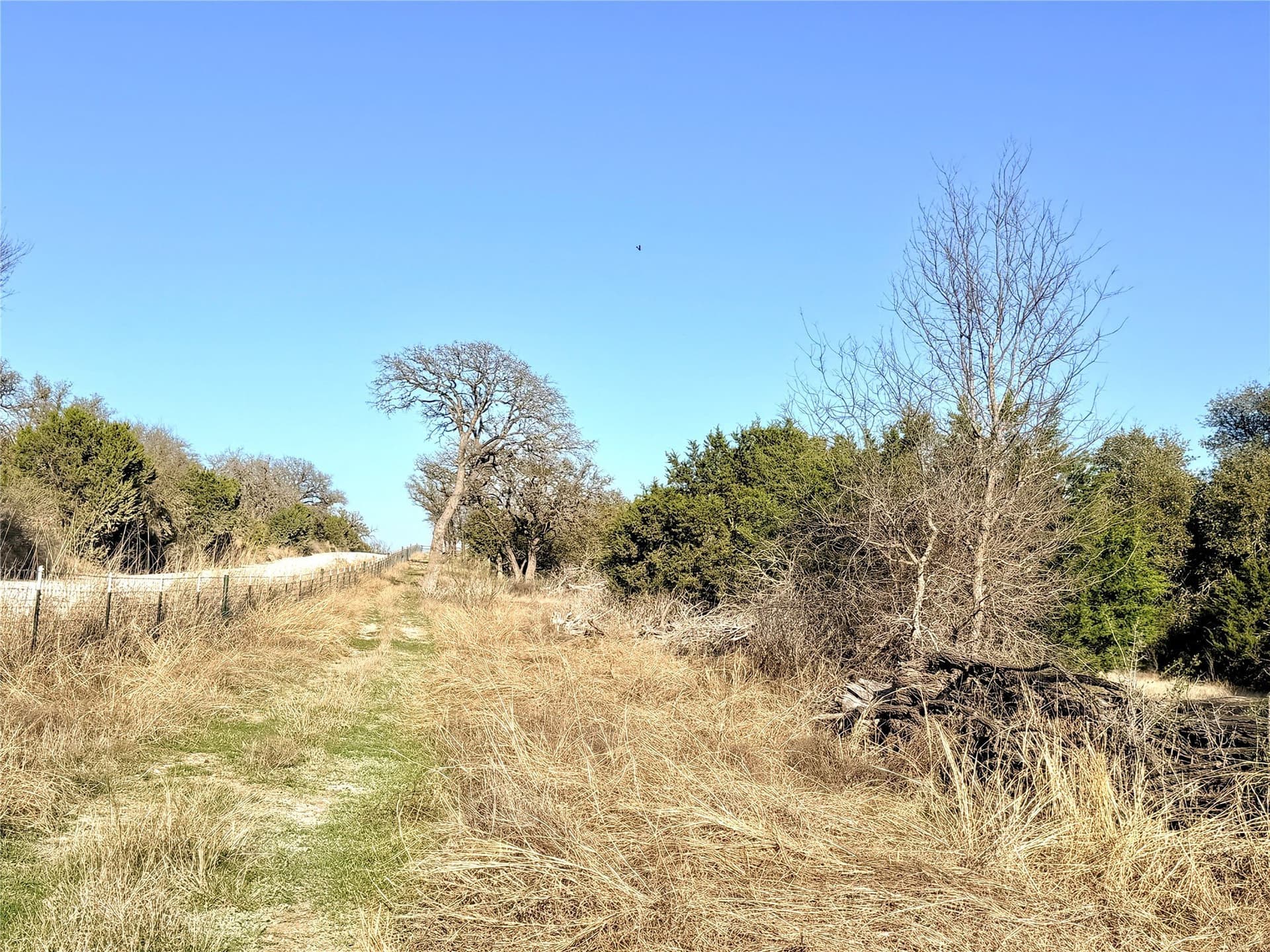 33.25 acres in Mills County - photo 8