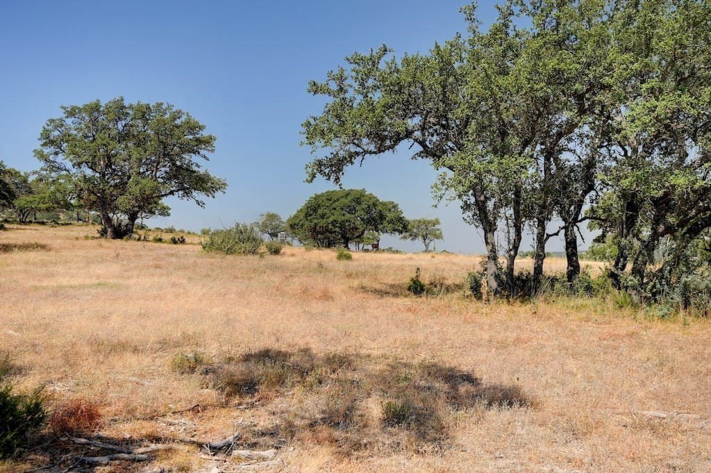 5.04 acres in Bandera County gallery image 4
