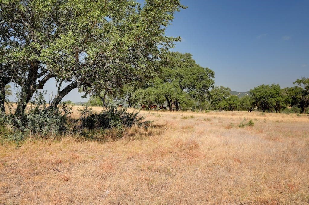 5.04 acres in Bandera County featured view