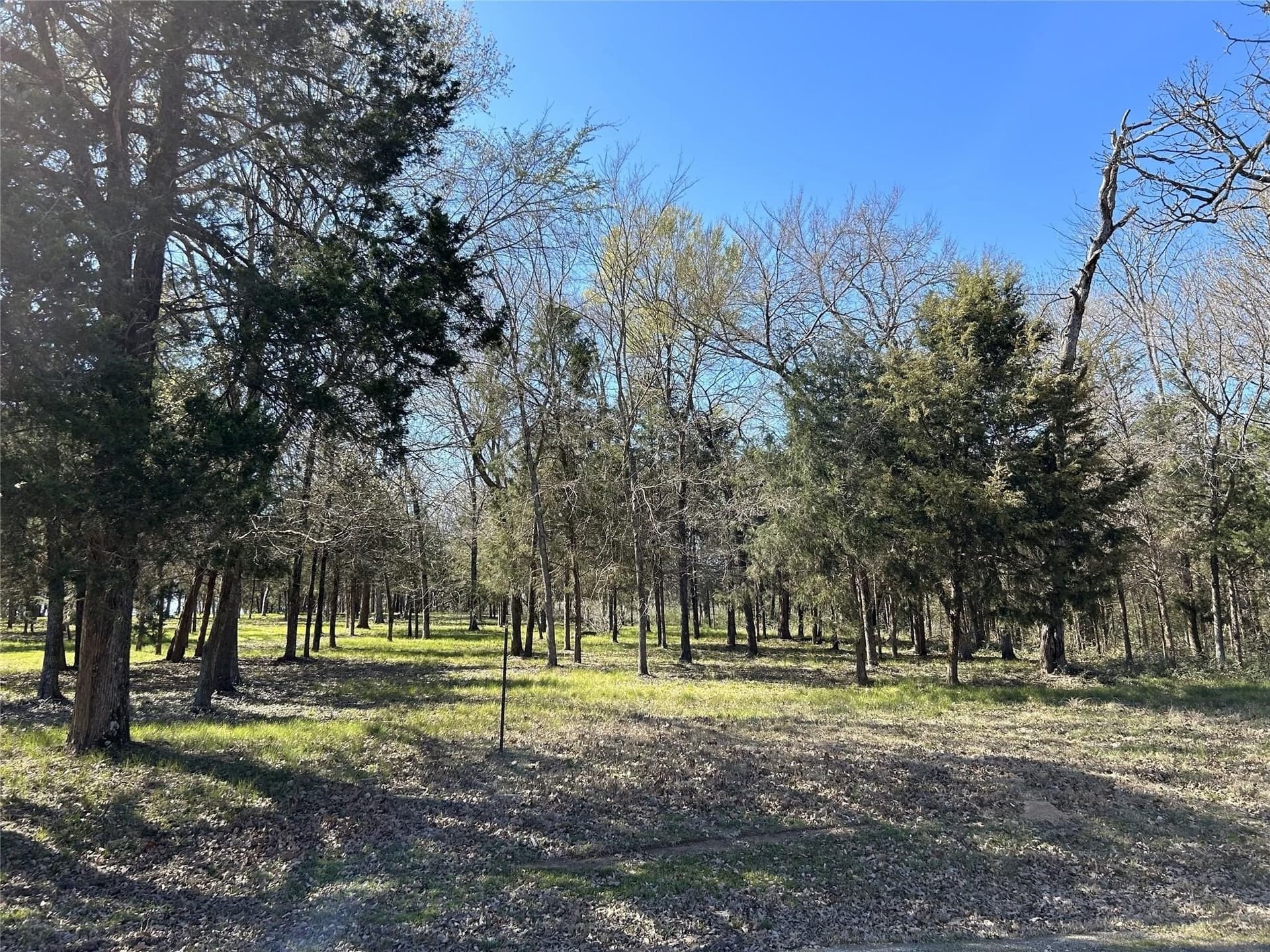4.05 acres in Freestone County - photo 9