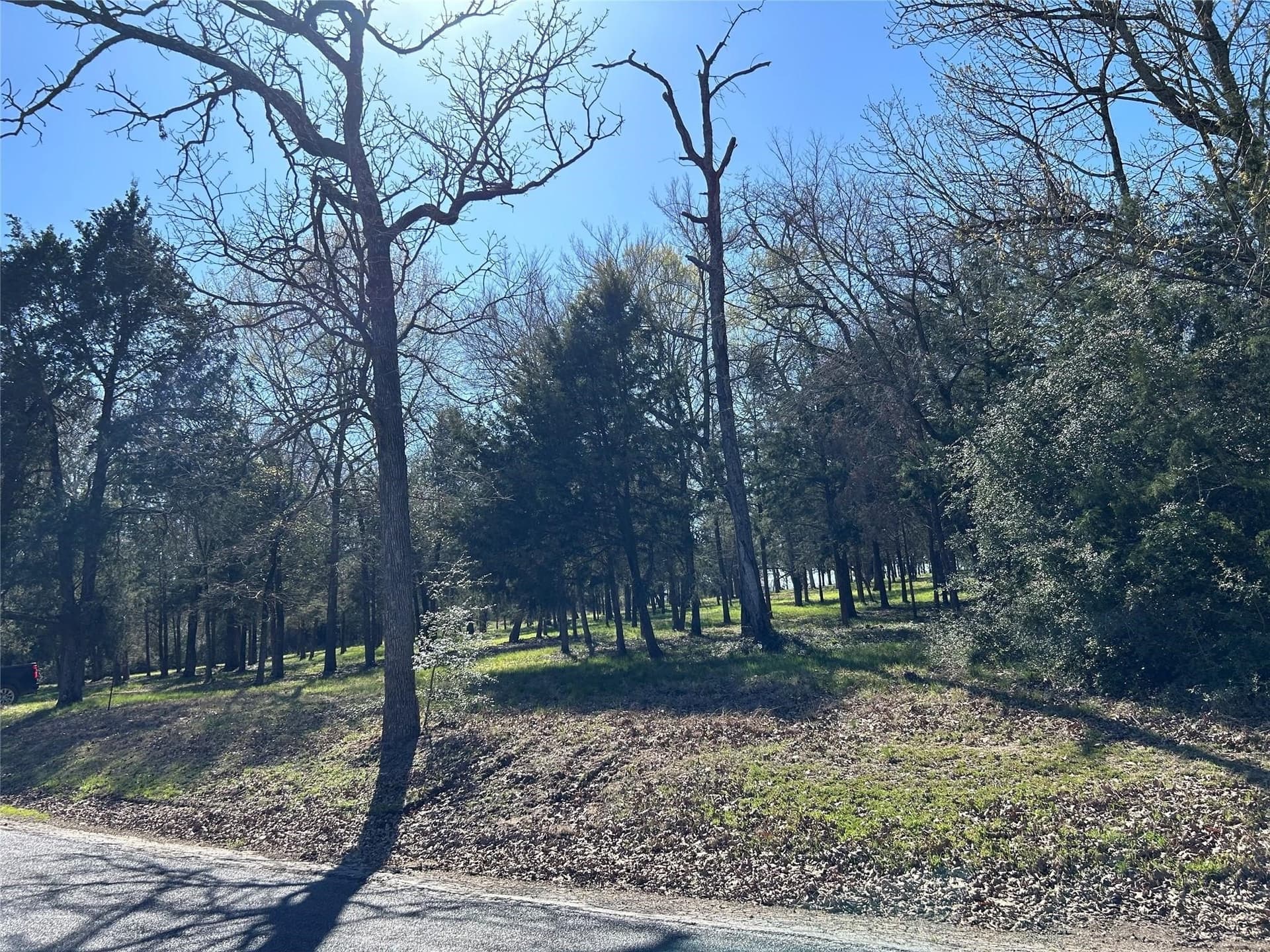 4.05 acres in Freestone County - photo 10