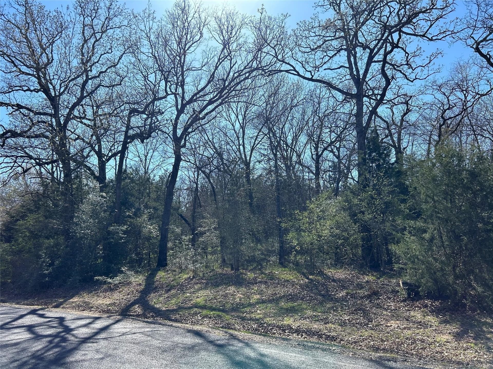 4.05 acres in Freestone County - photo 12