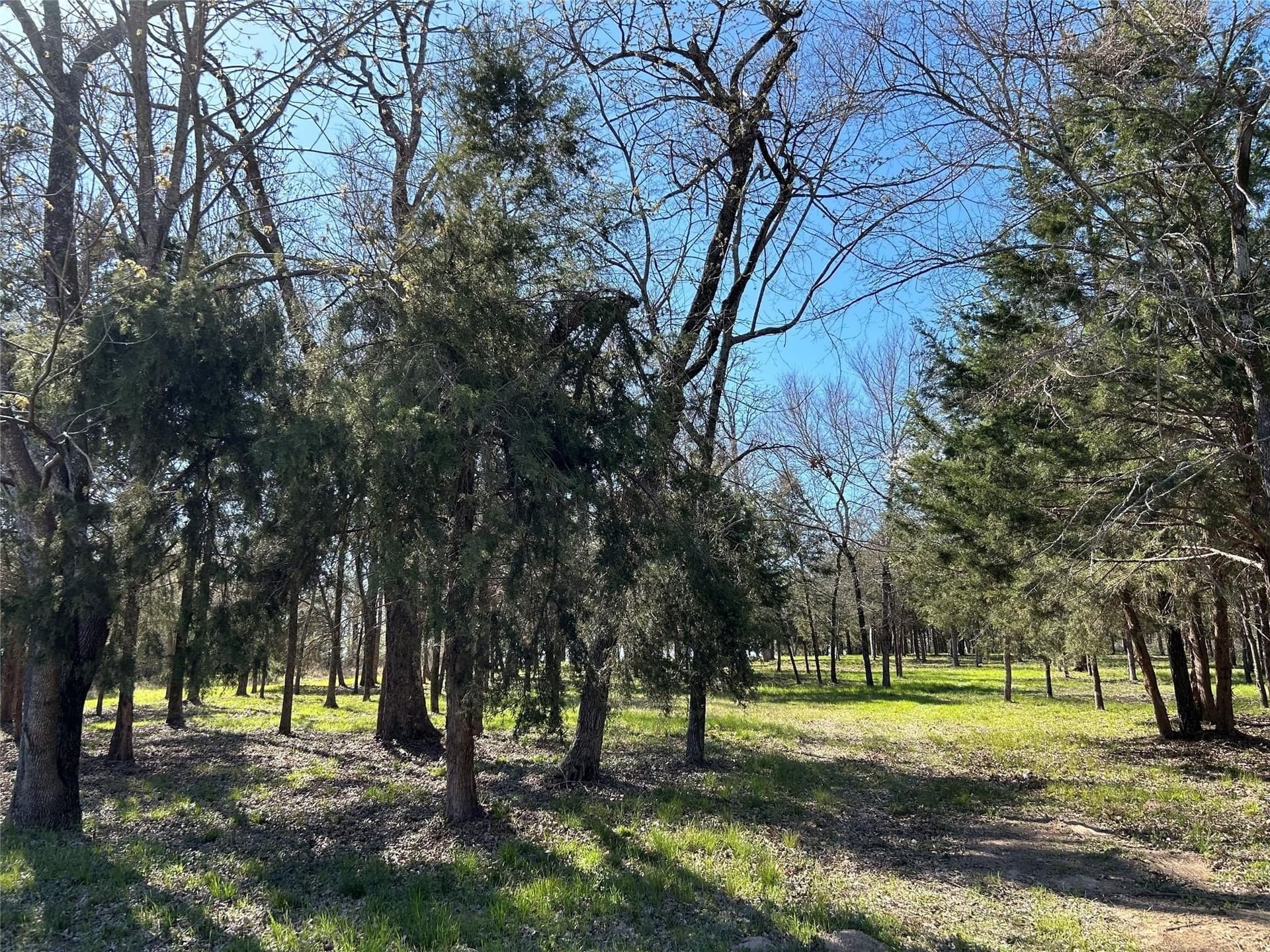 4.05 acres in Freestone County - photo 8
