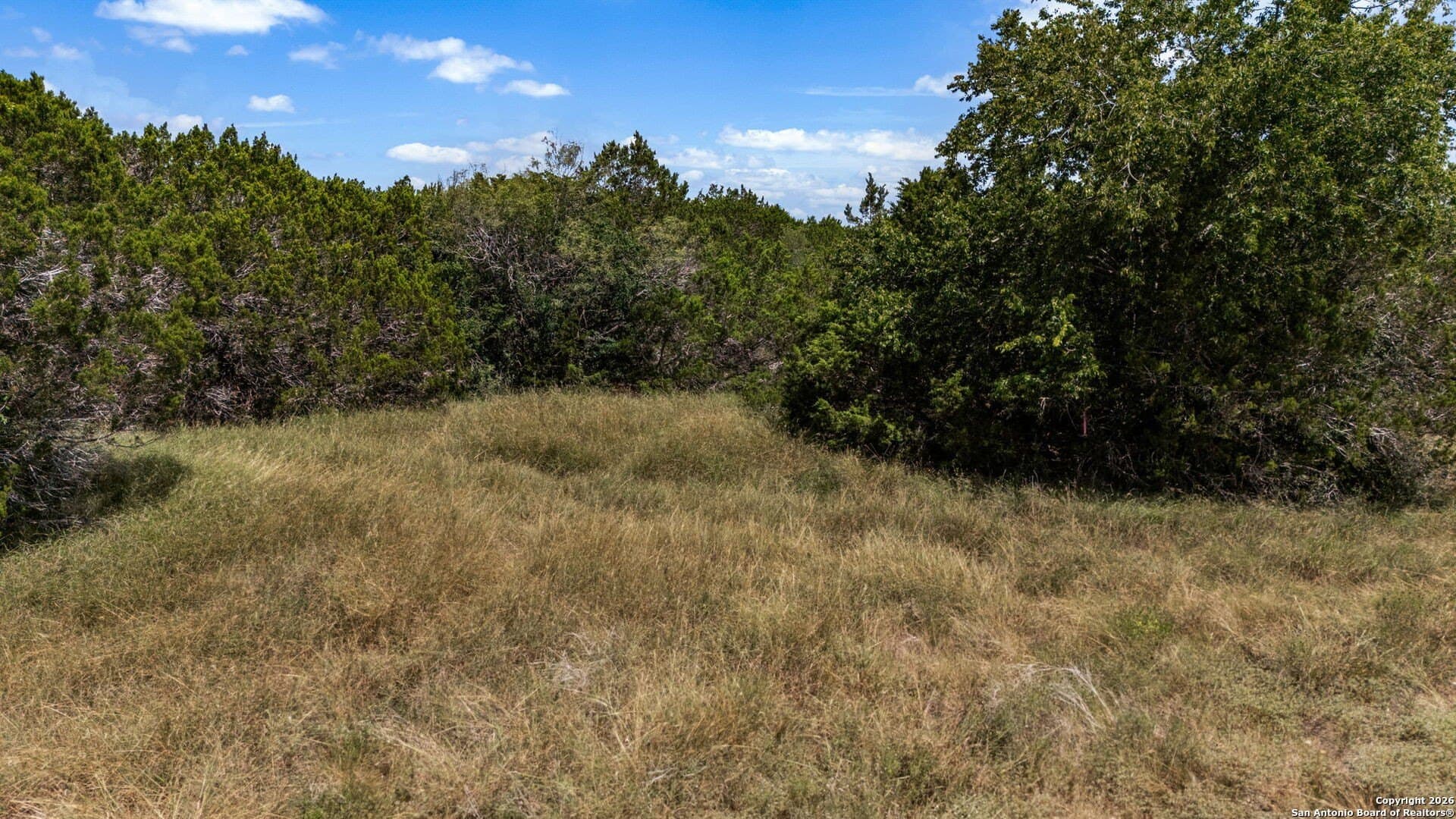 1.29 acres in Comal County - photo 19