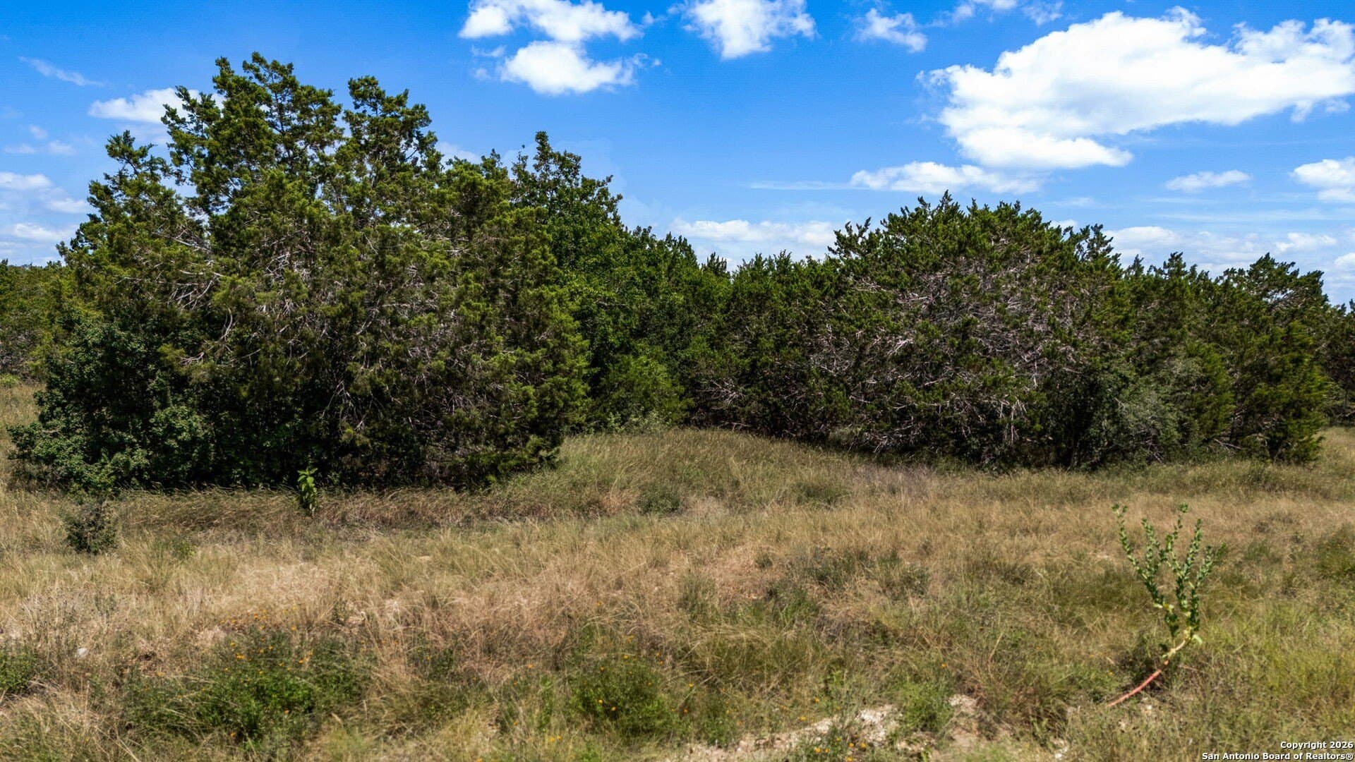1.29 acres in Comal County - photo 18