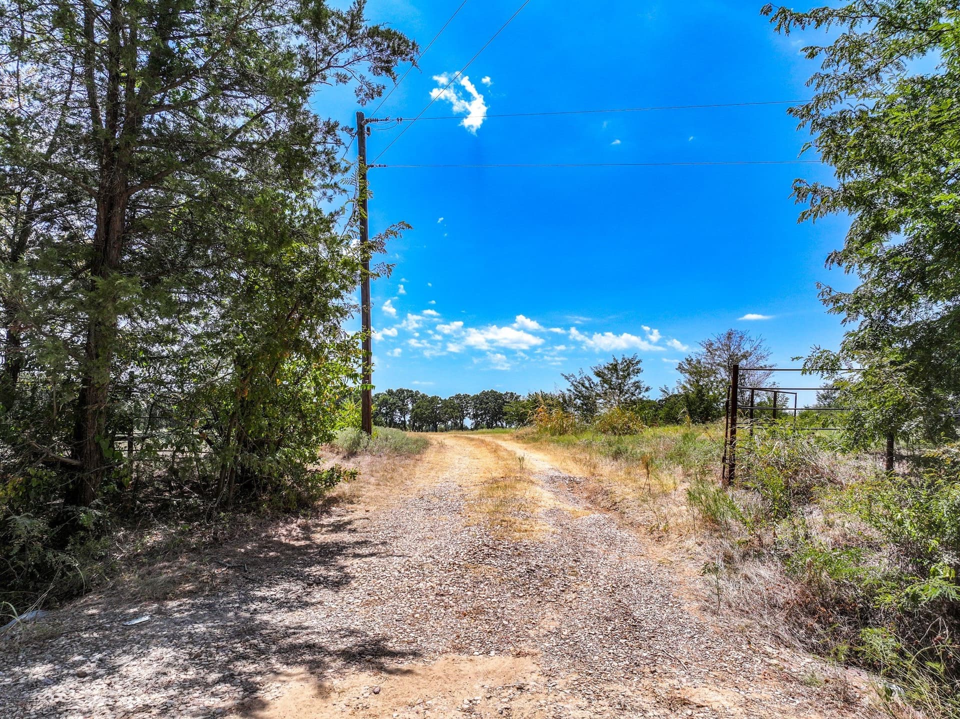 65 acres in Fannin County - photo 14