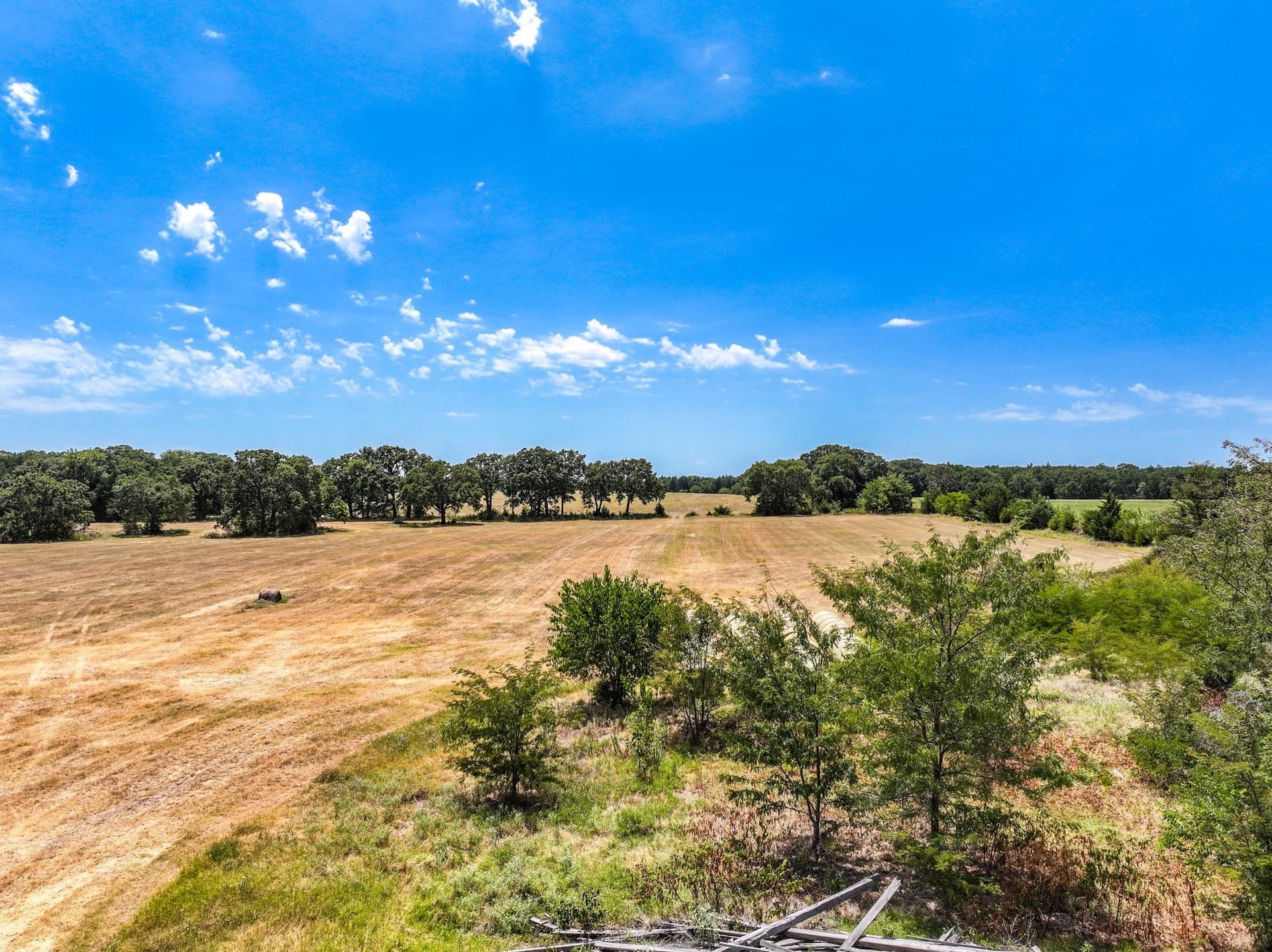 65 acres in Fannin County - photo 16
