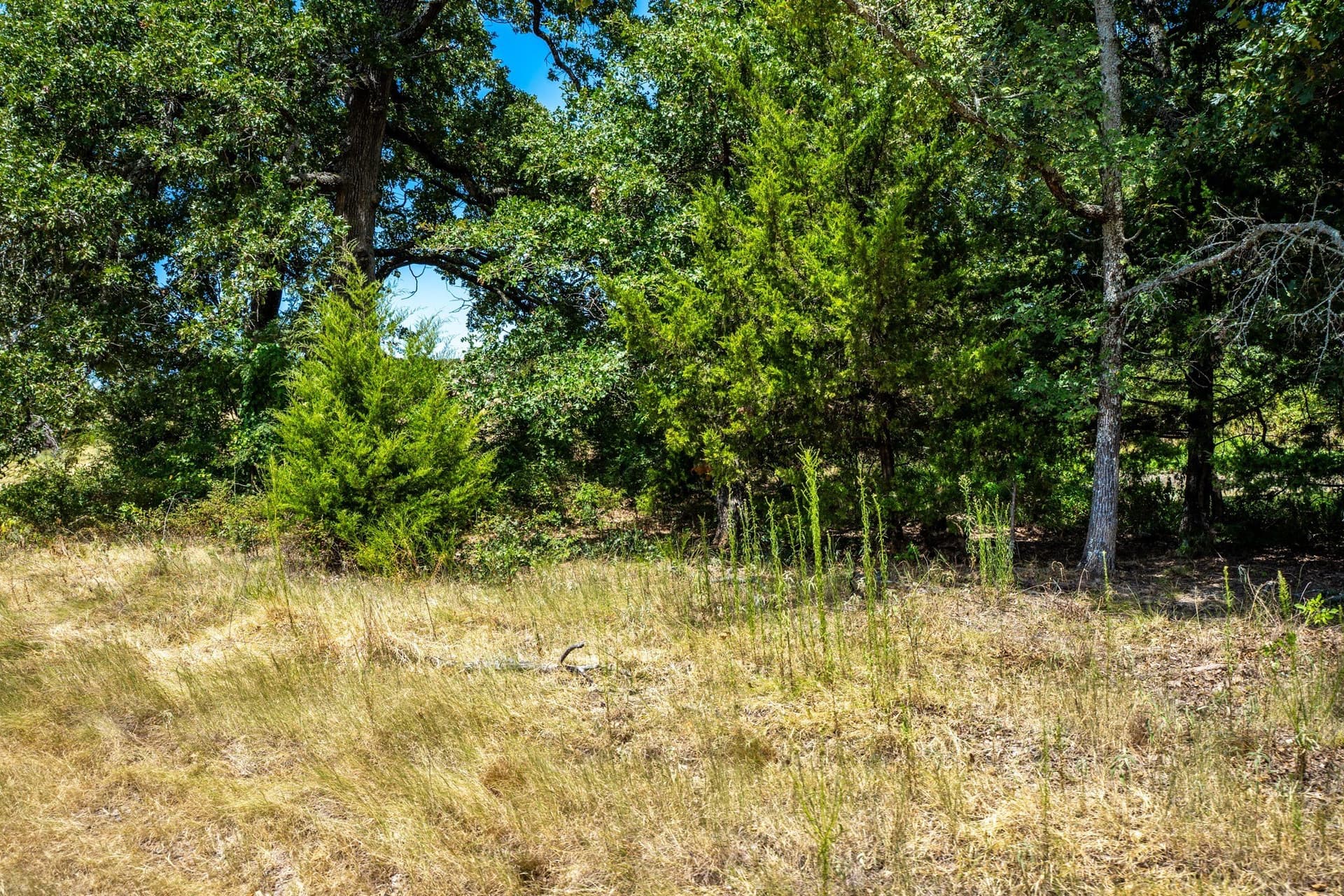 65 acres in Fannin County - photo 39