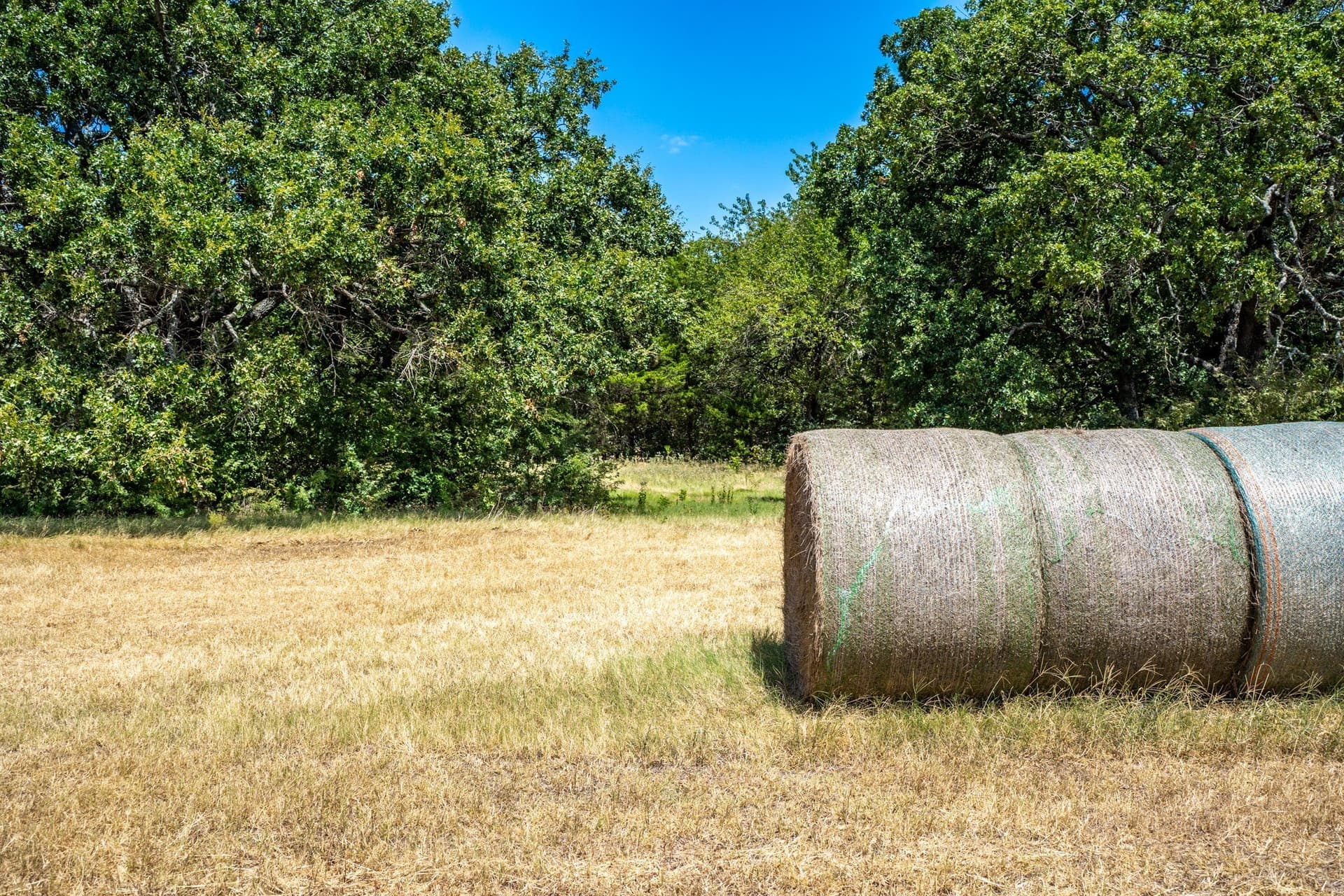 65 acres in Fannin County - photo 35