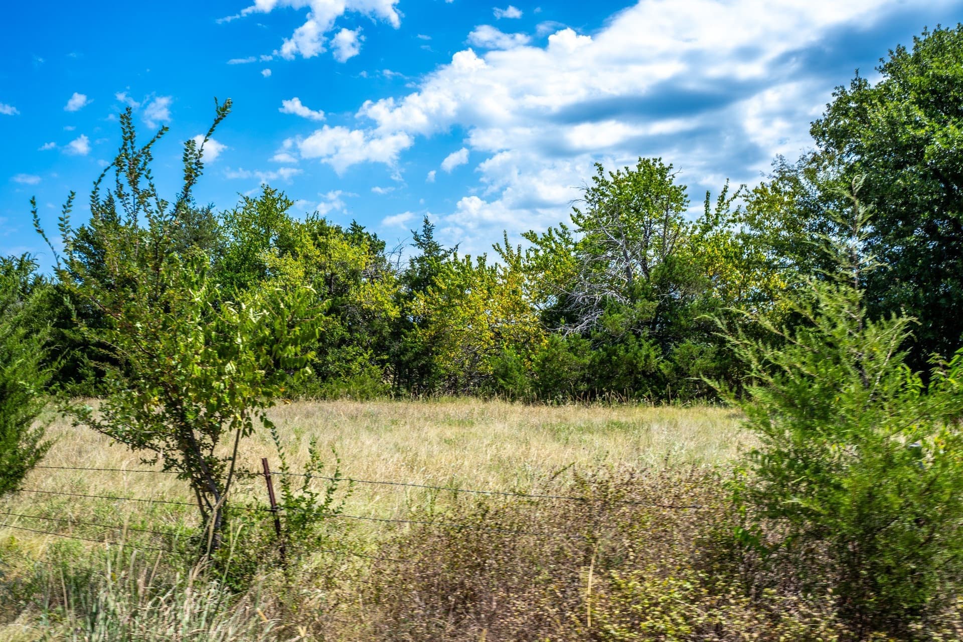 65 acres in Fannin County - photo 32