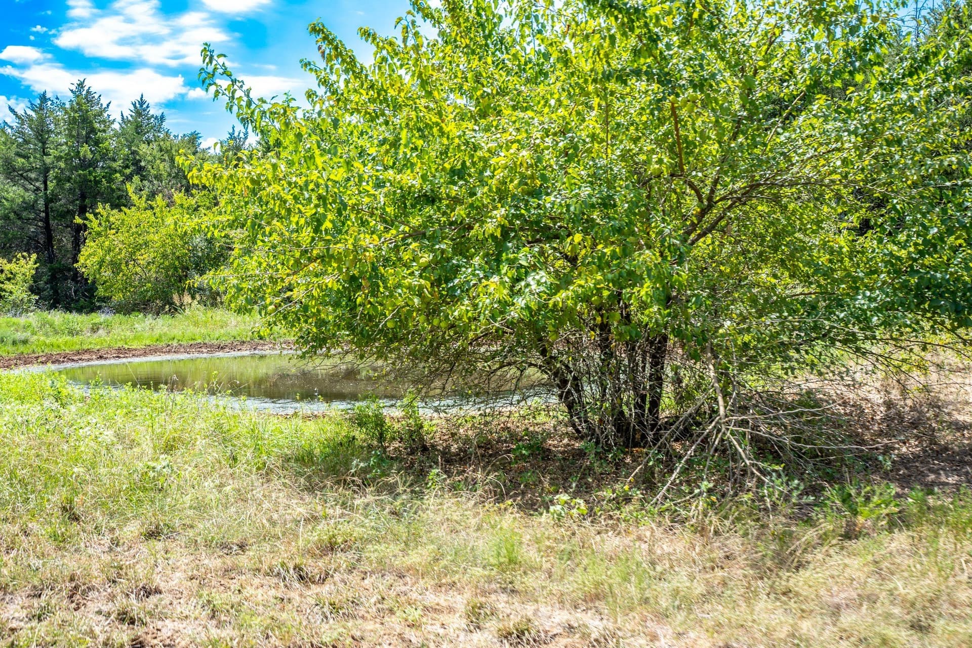 65 acres in Fannin County - photo 28